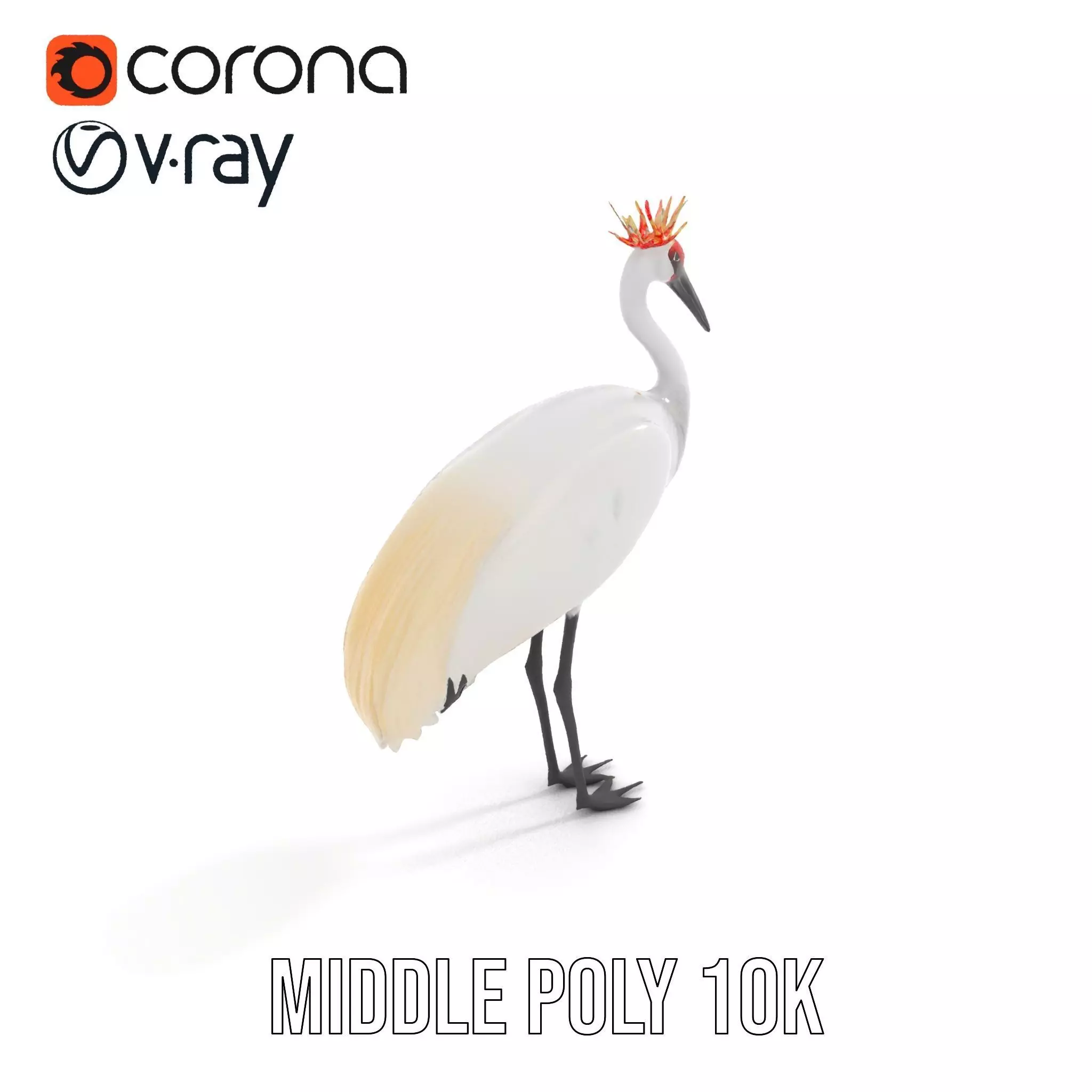 Elegant Crowned Crane model pack Low-poly 3D model_7
