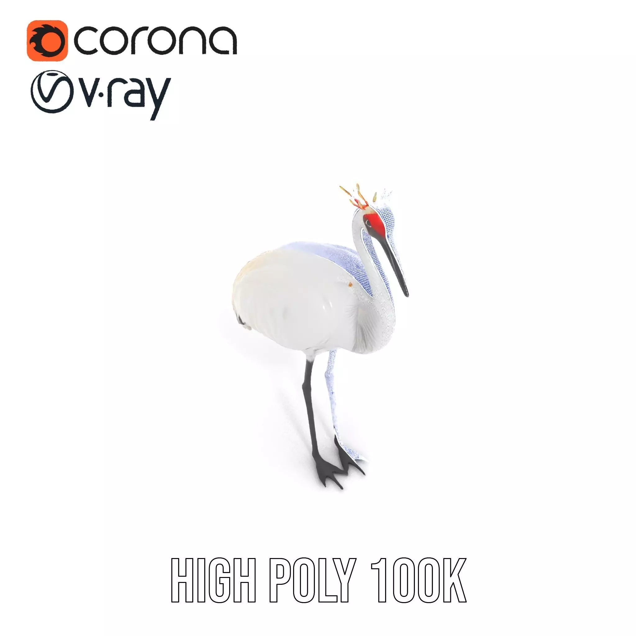 Elegant Crowned Crane model pack Low-poly 3D model_24