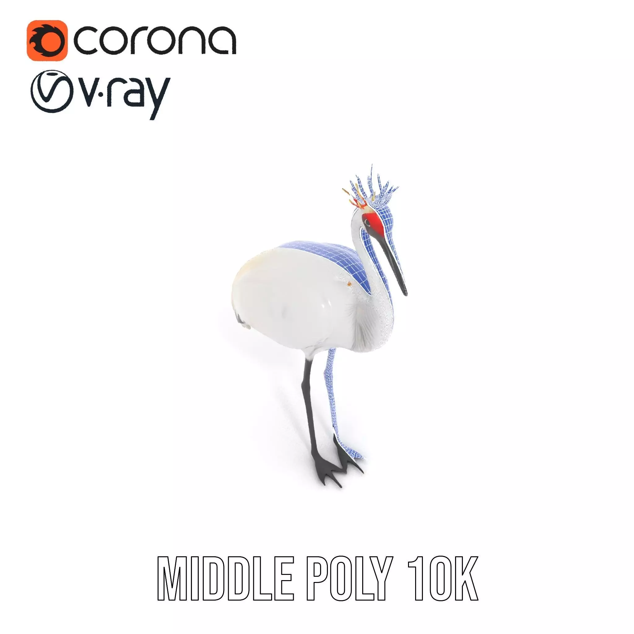 Elegant Crowned Crane model pack Low-poly 3D model_25