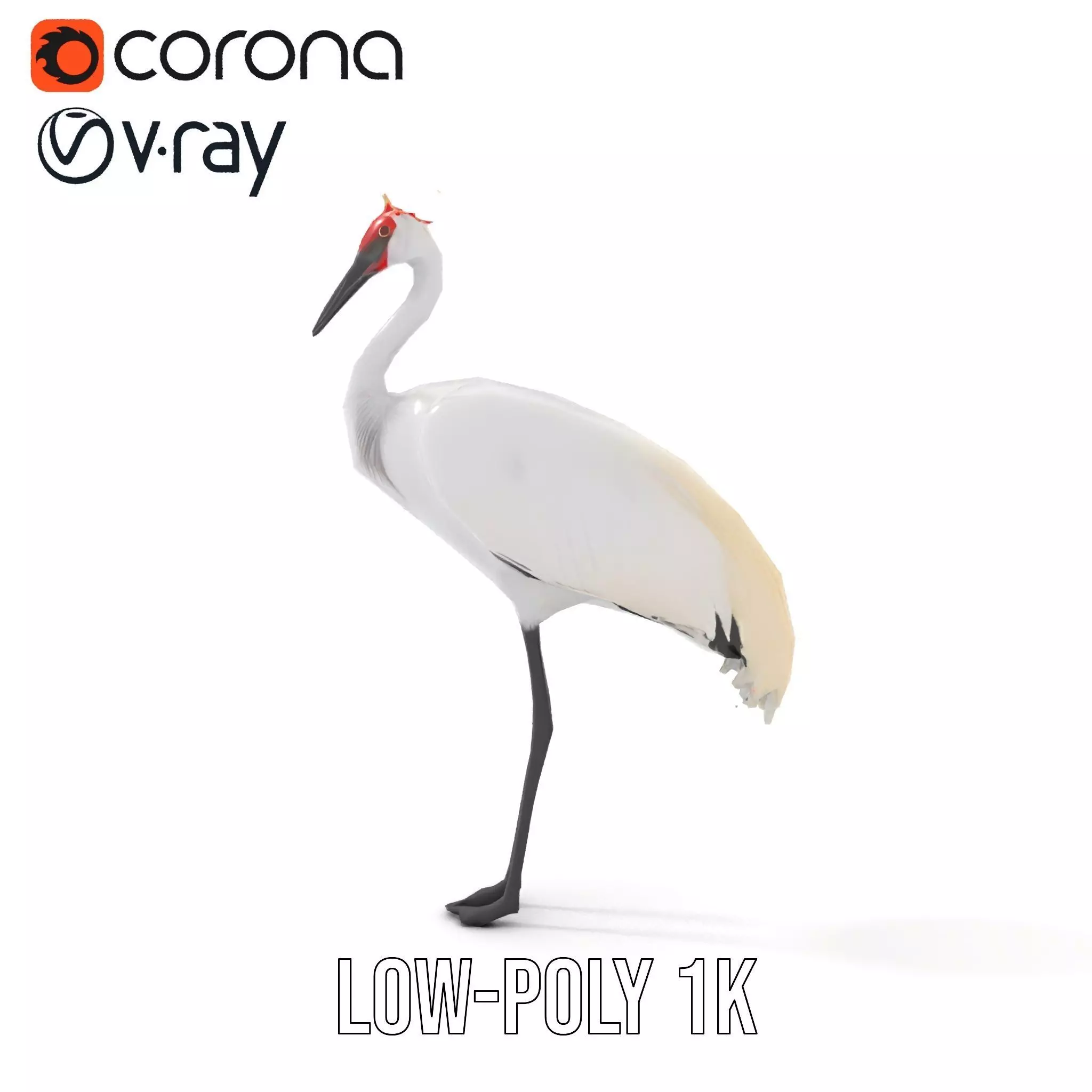Elegant Crowned Crane model pack Low-poly 3D model_23