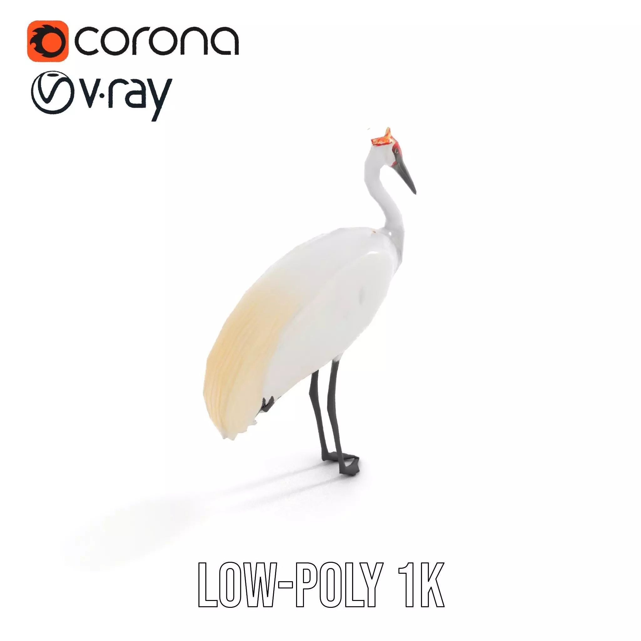 Elegant Crowned Crane model pack Low-poly 3D model_8