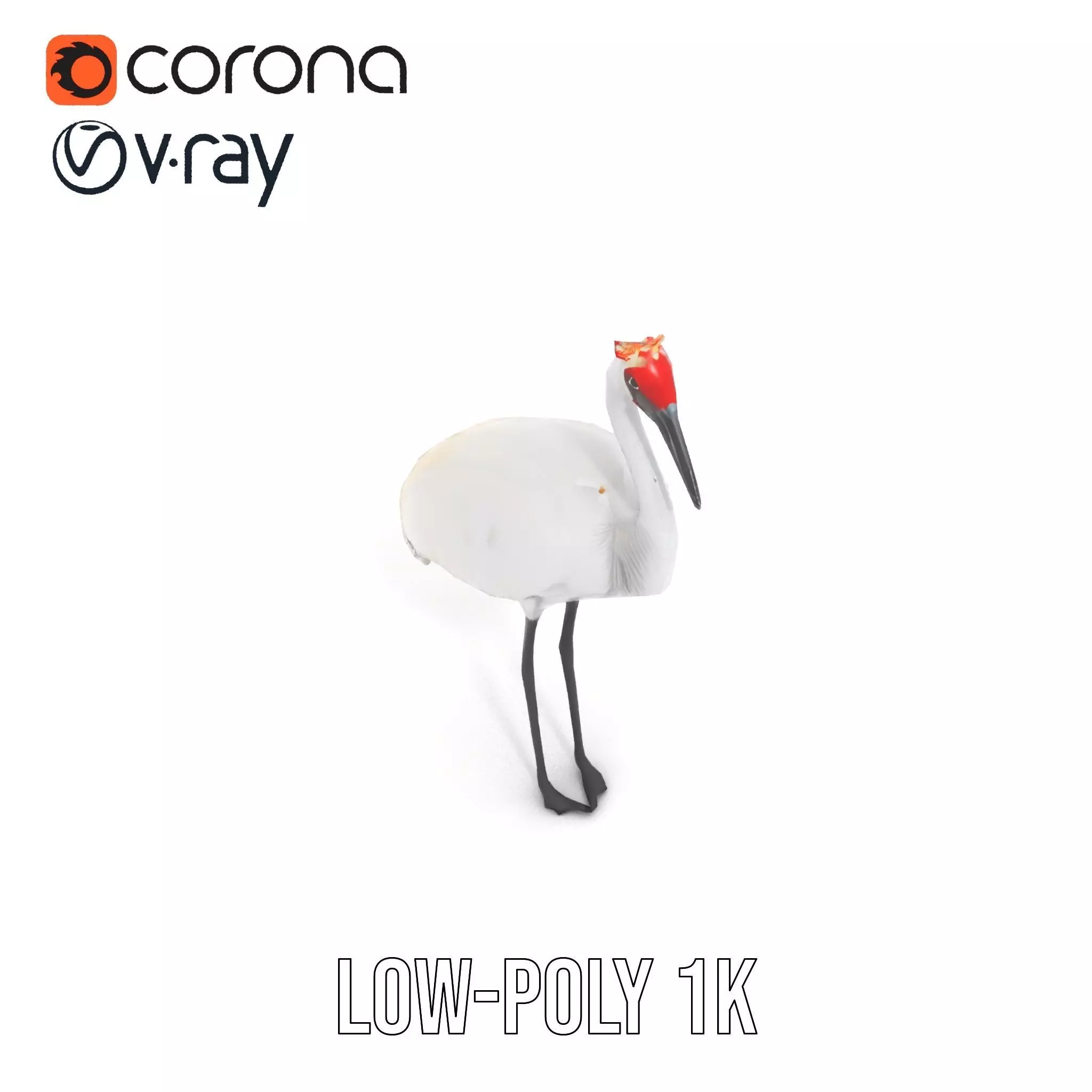 Elegant Crowned Crane model pack Low-poly 3D model_13