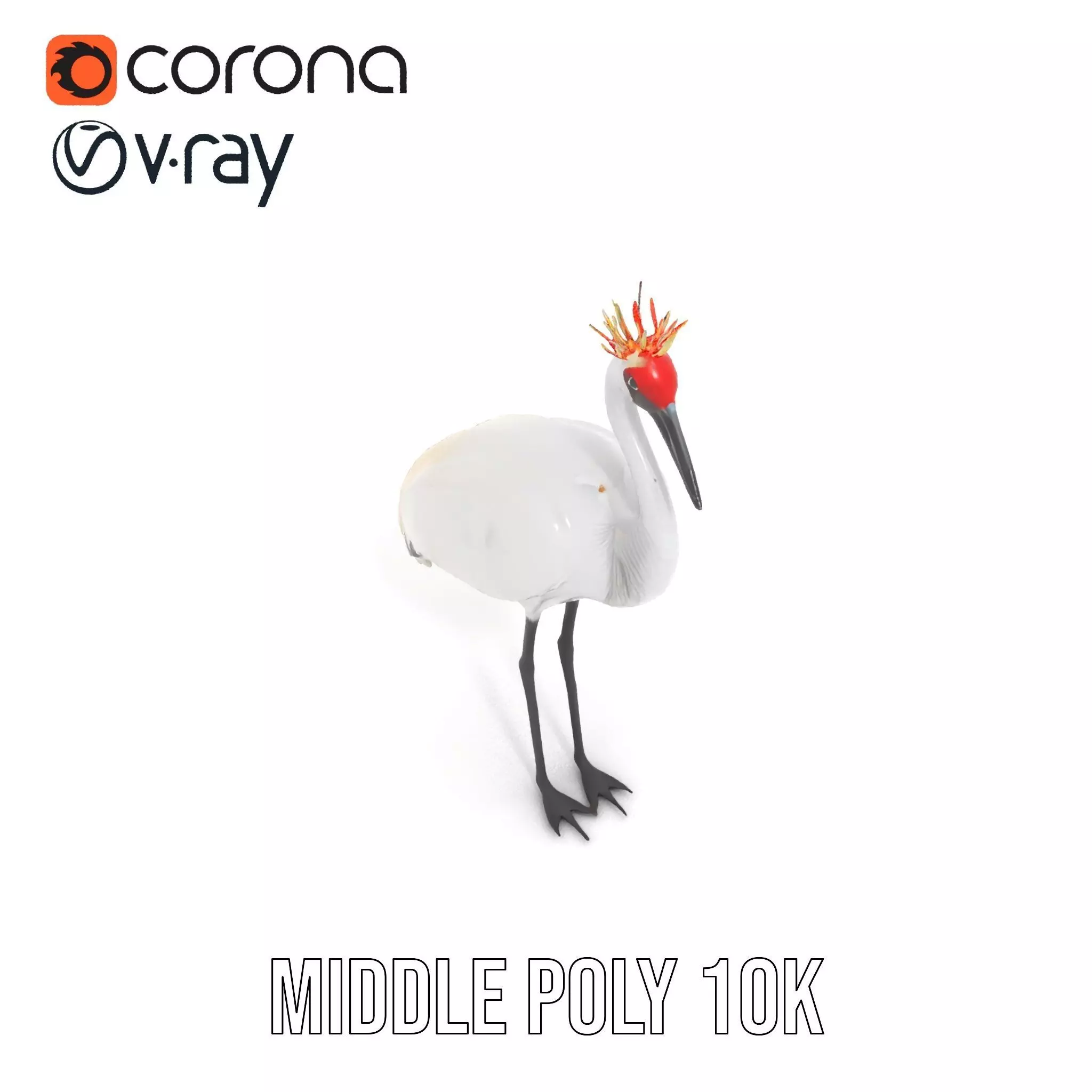 Elegant Crowned Crane model pack Low-poly 3D model_12