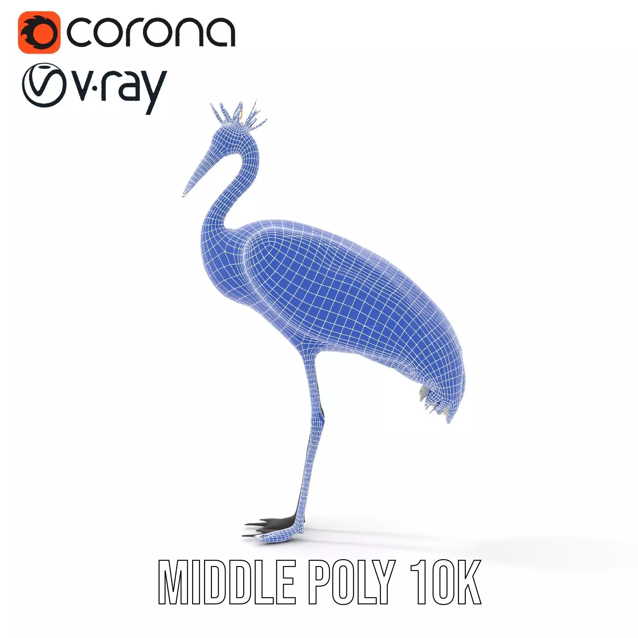 Elegant Crowned Crane model pack Low-poly 3D model_28