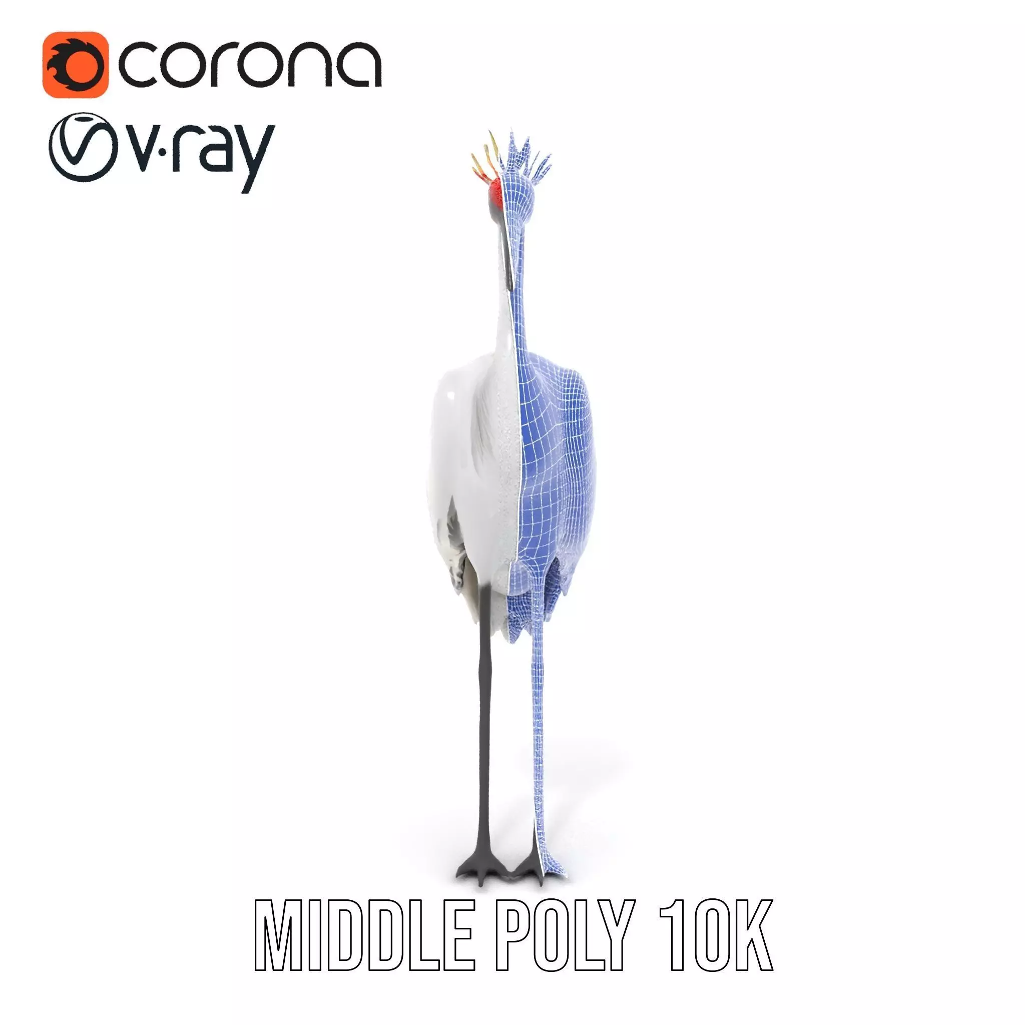 Elegant Crowned Crane model pack Low-poly 3D model_31