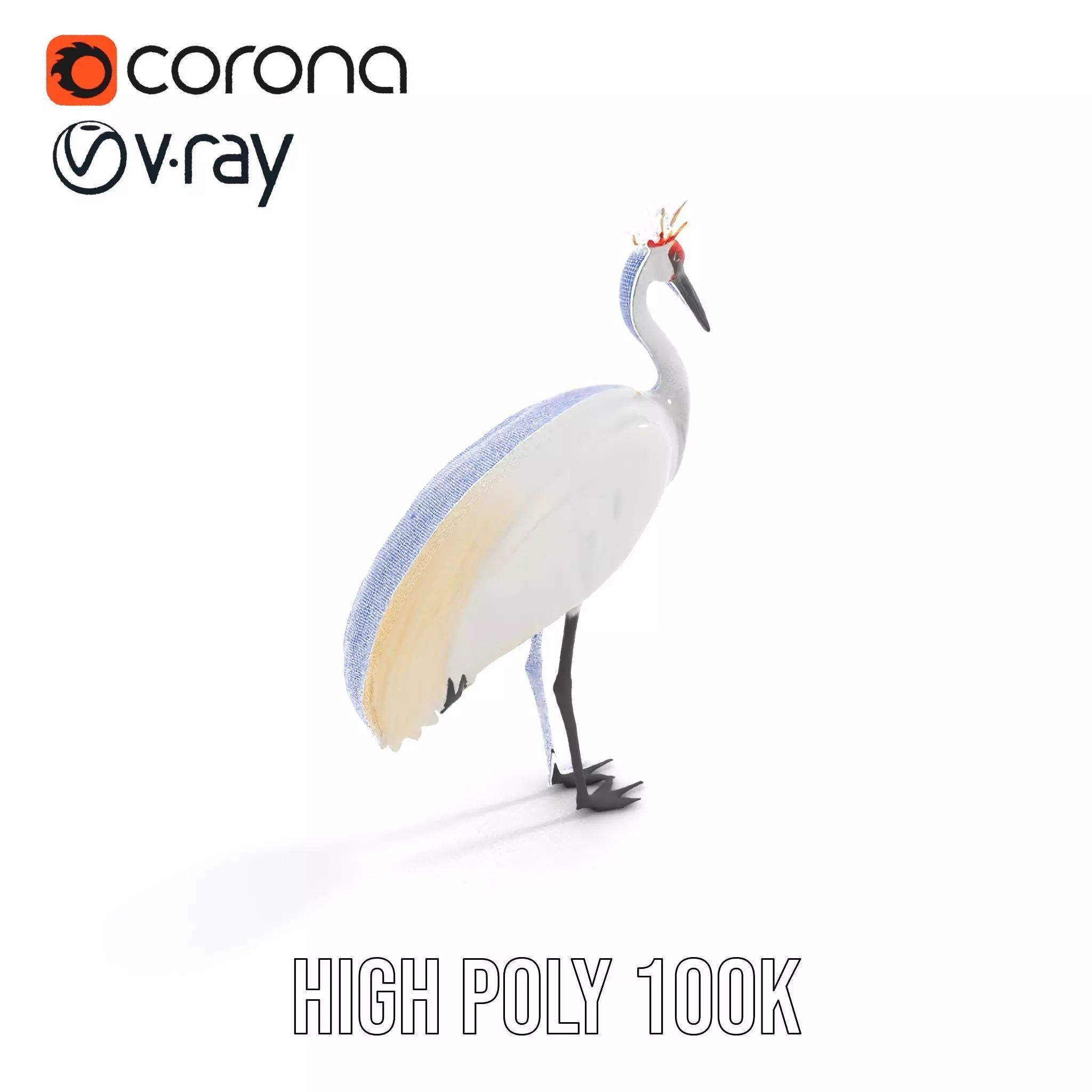 Elegant Crowned Crane model pack Low-poly 3D model_27