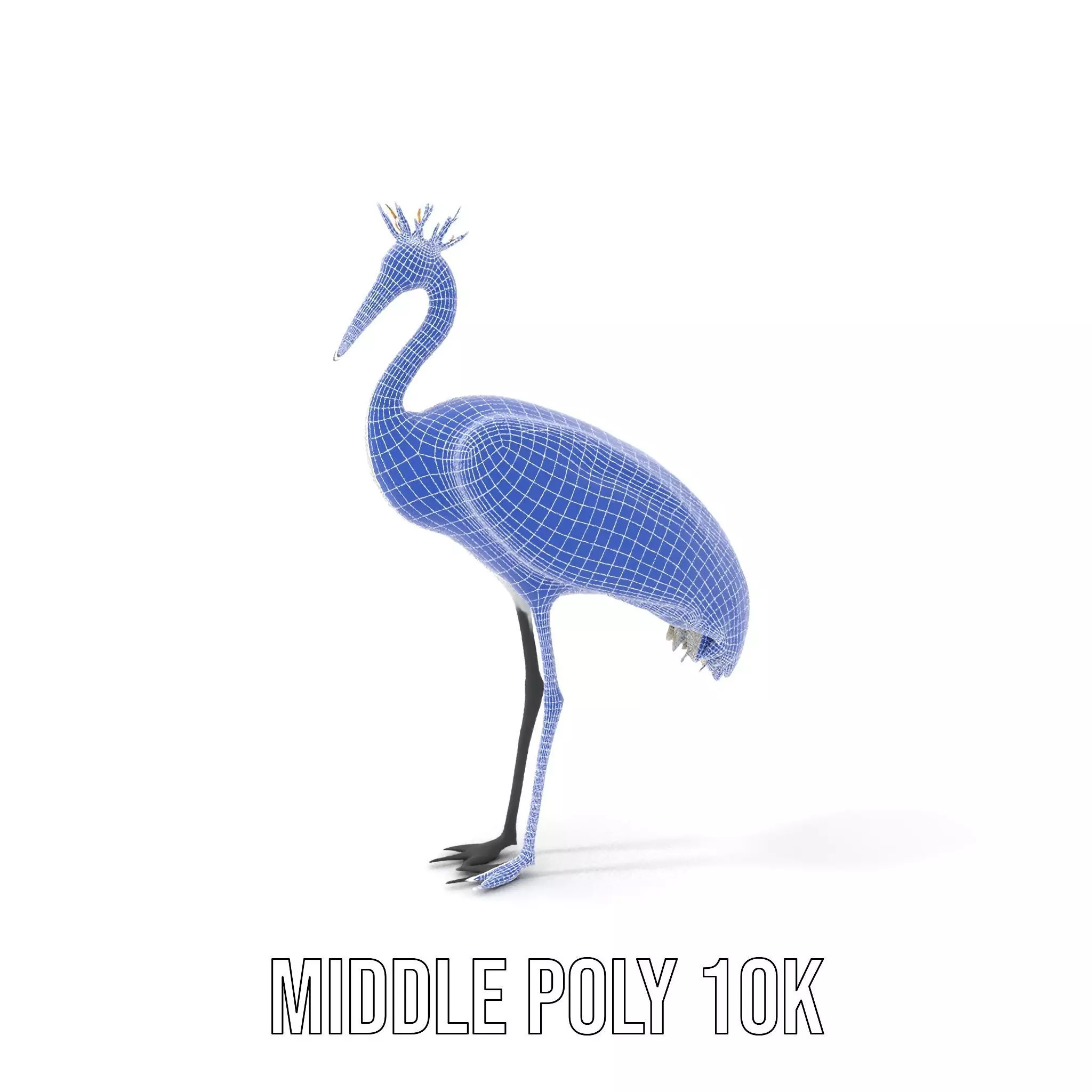 Elegant Crowned Crane model pack Low-poly 3D model_14