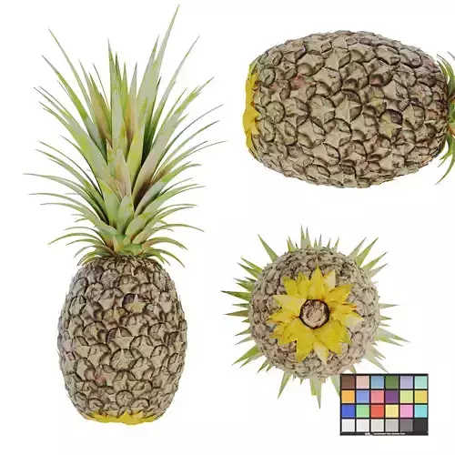  Ananas