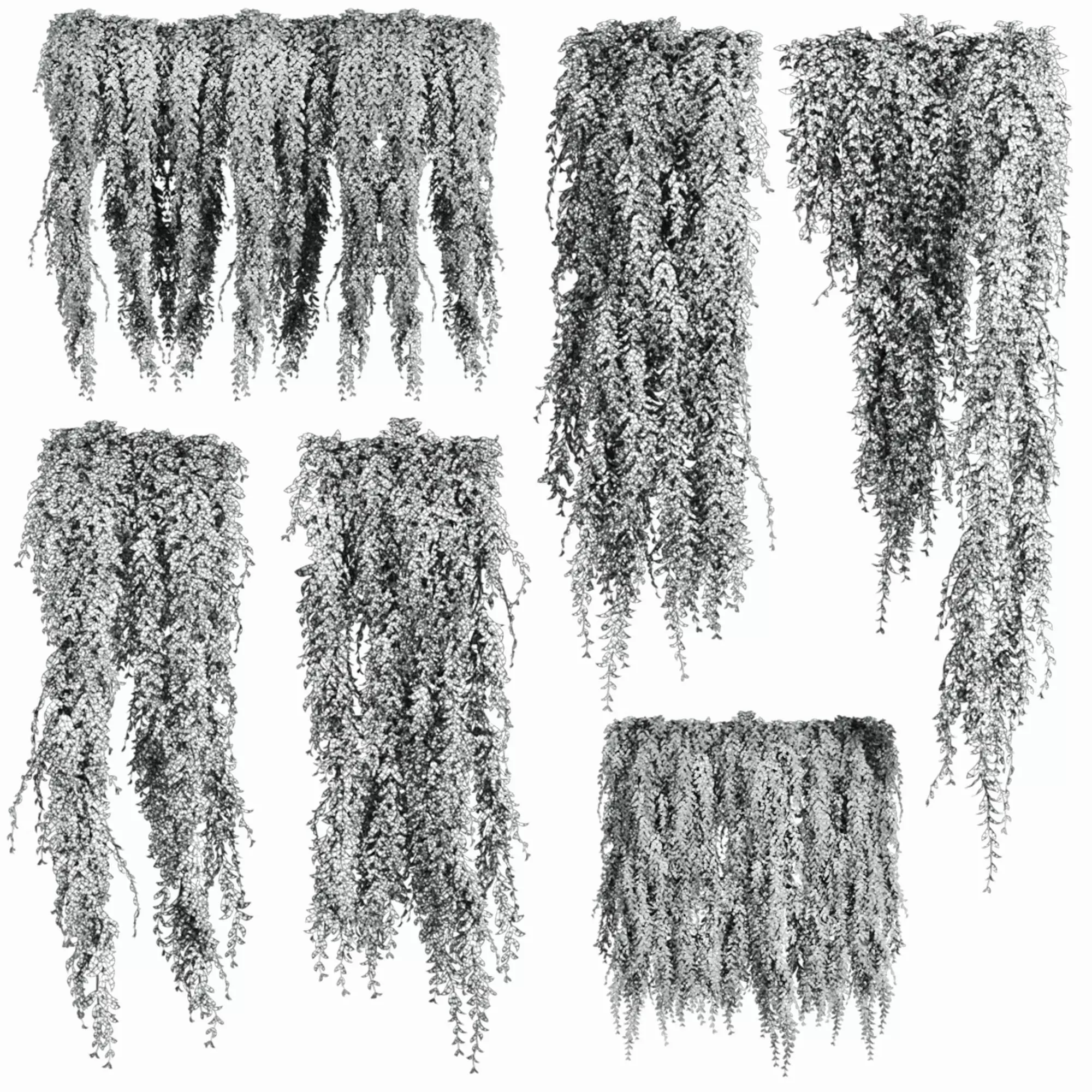 ivy plants 3D model_3