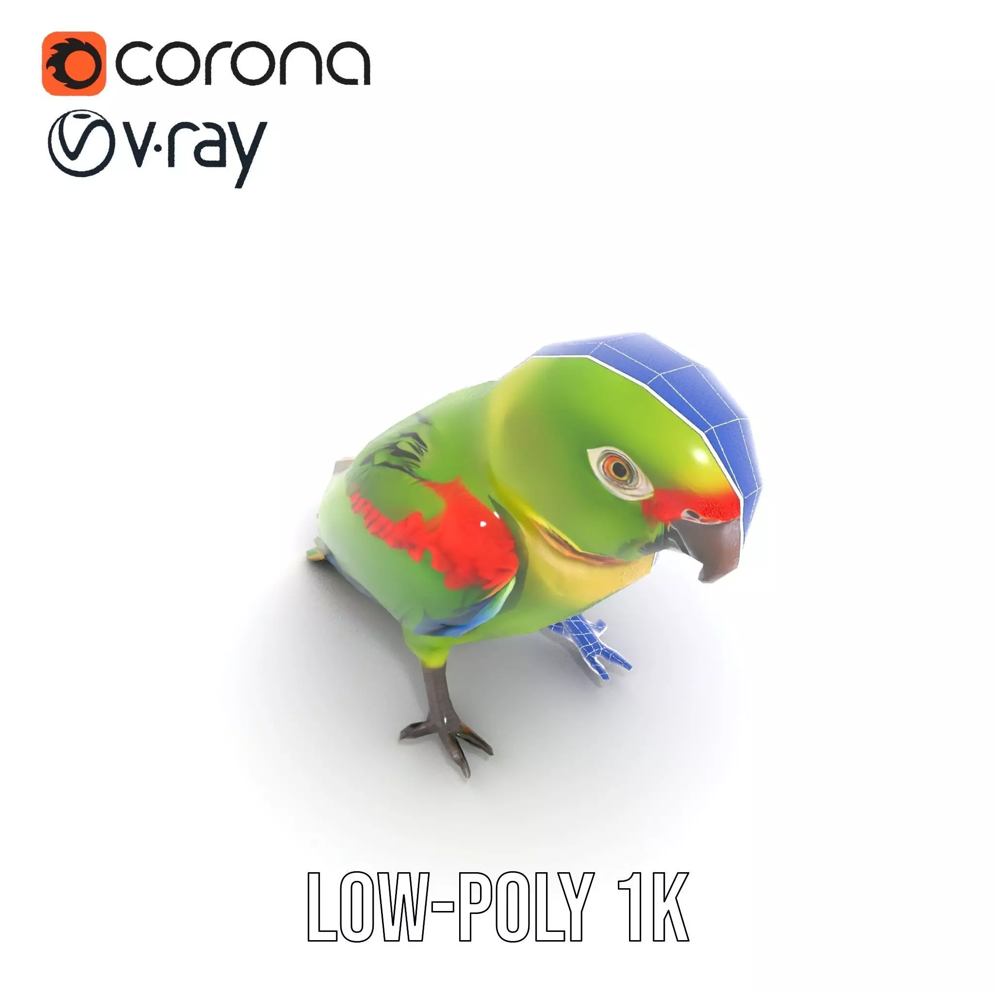 Vibrant Parrot Model Pack Low-poly 3D model_32