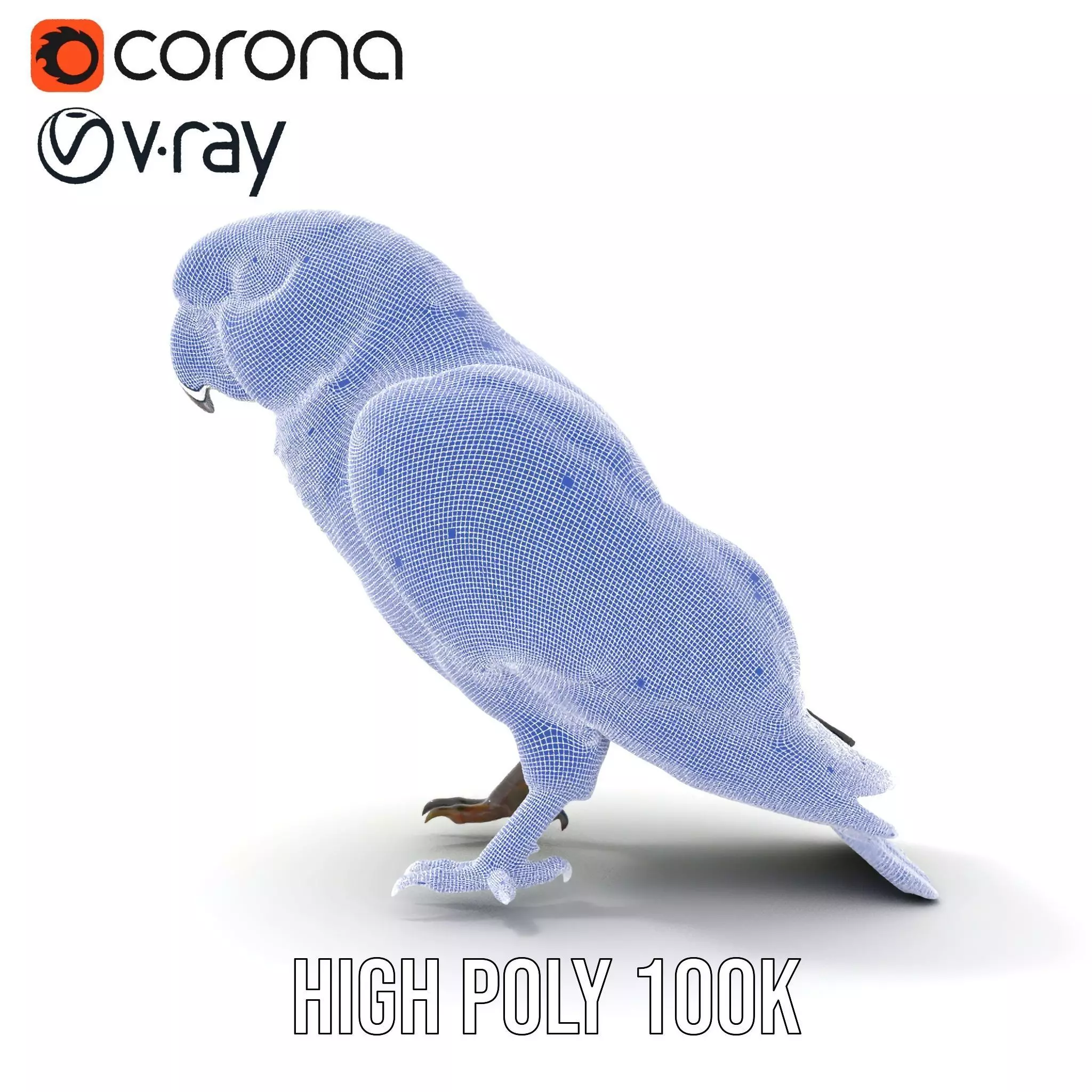 Vibrant Parrot Model Pack Low-poly 3D model_35