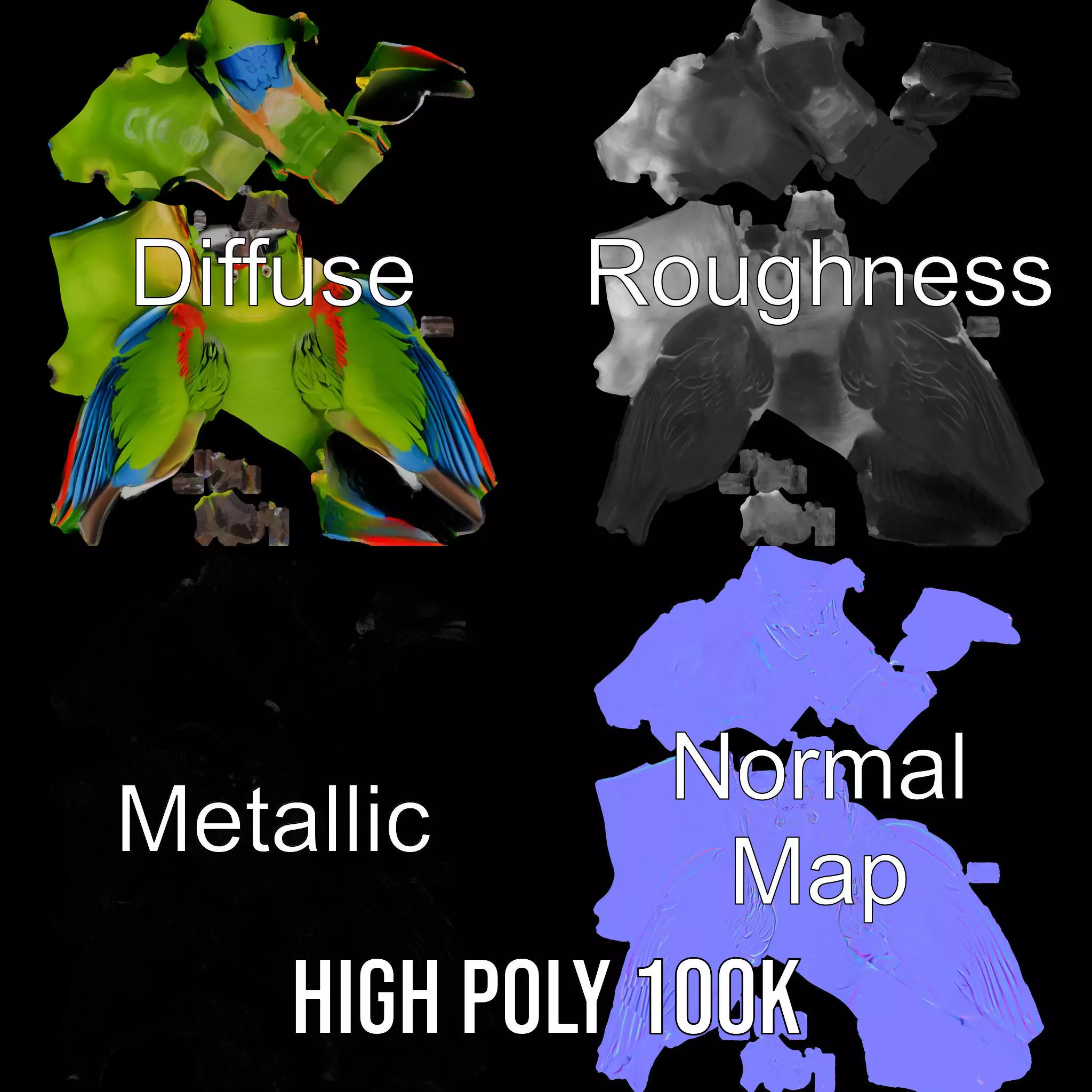 Vibrant Parrot Model Pack Low-poly 3D model_4