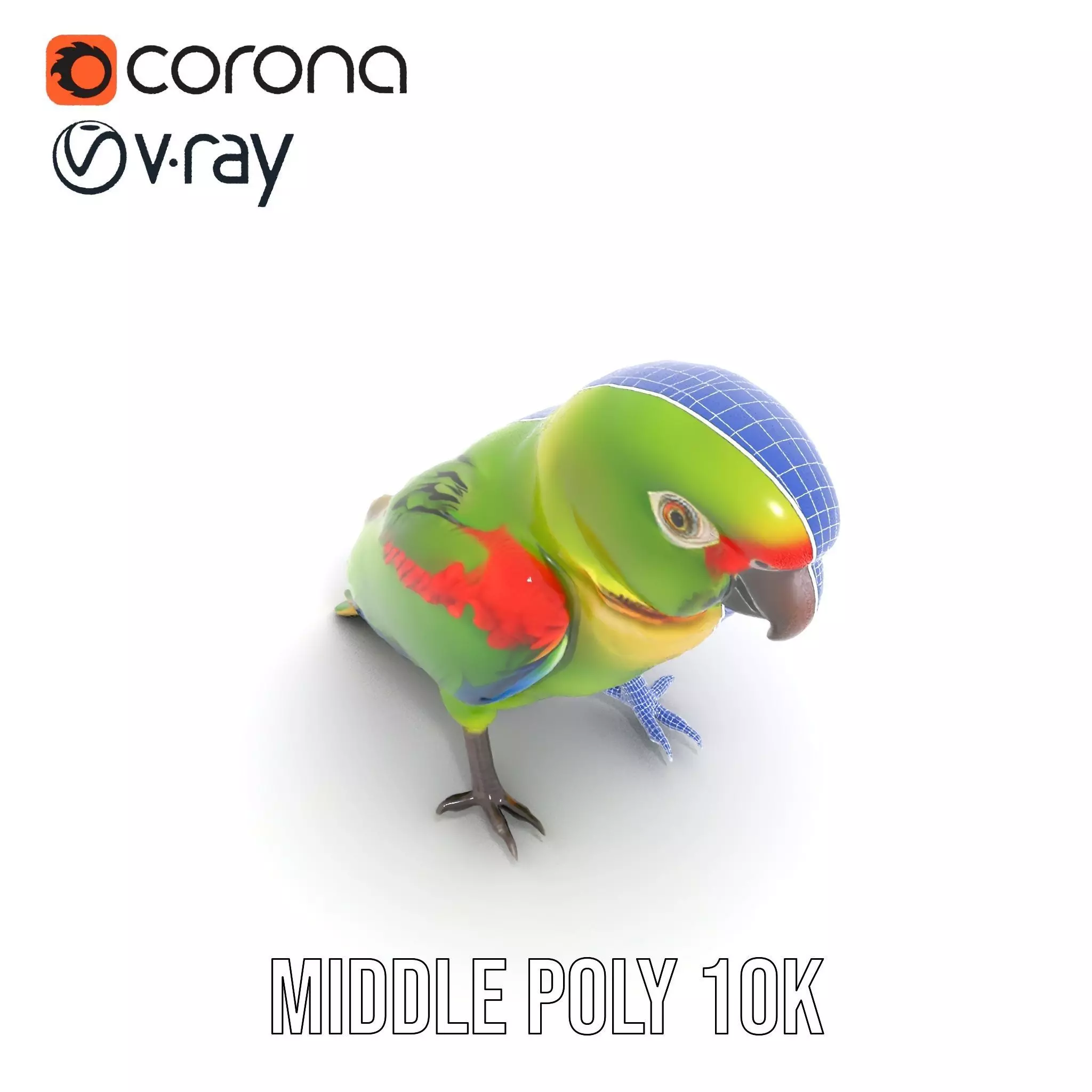 Vibrant Parrot Model Pack Low-poly 3D model_20