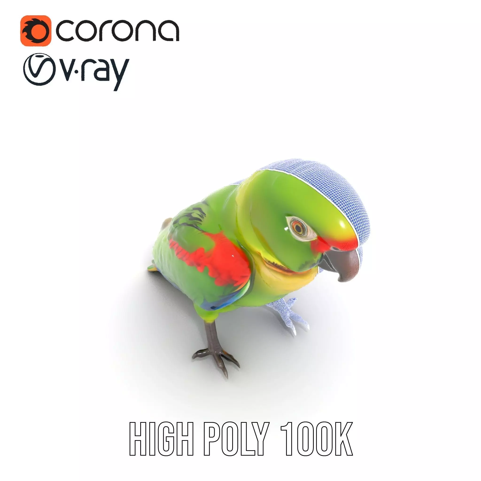 Vibrant Parrot Model Pack Low-poly 3D model_33