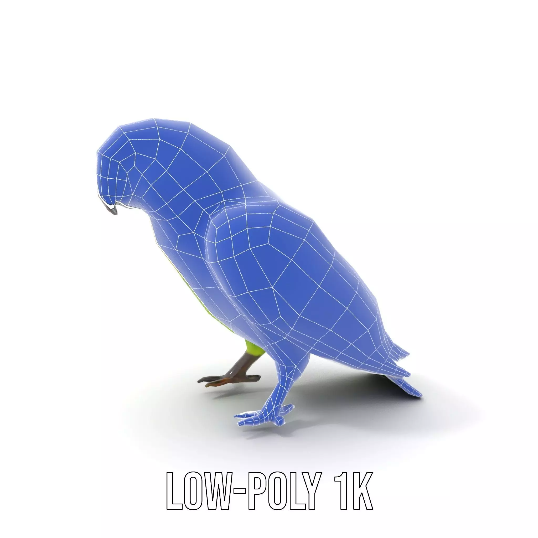Vibrant Parrot Model Pack Low-poly 3D model_13