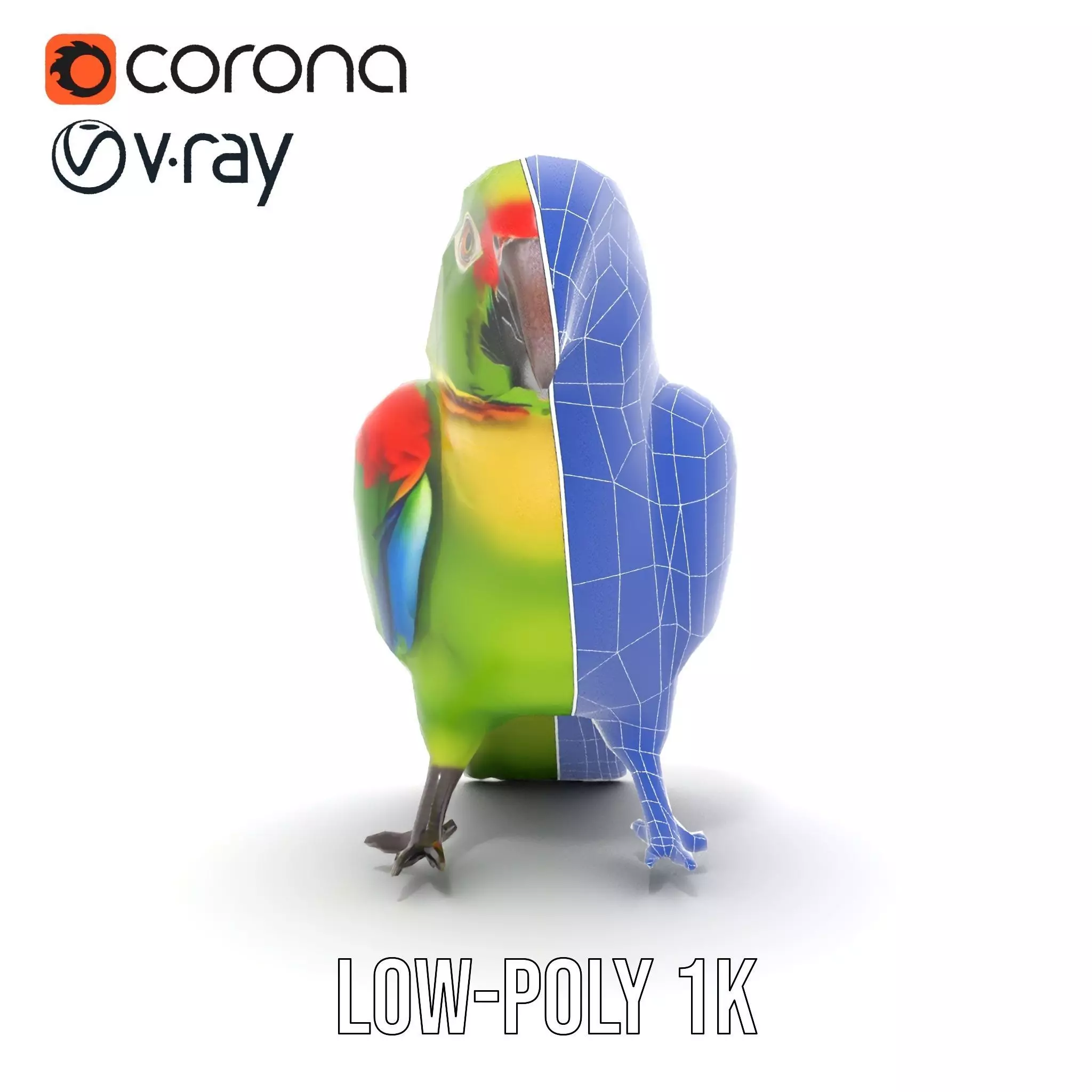 Vibrant Parrot Model Pack Low-poly 3D model_23
