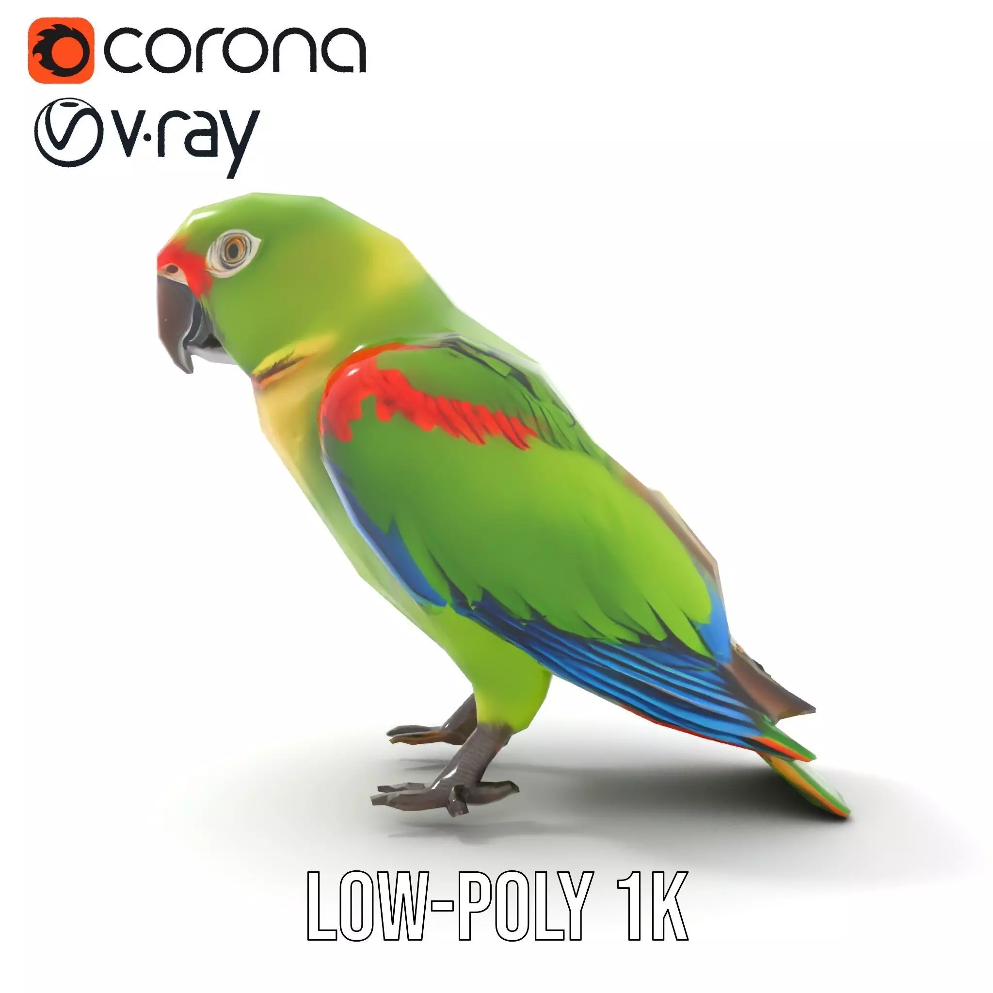 Vibrant Parrot Model Pack Low-poly 3D model_18