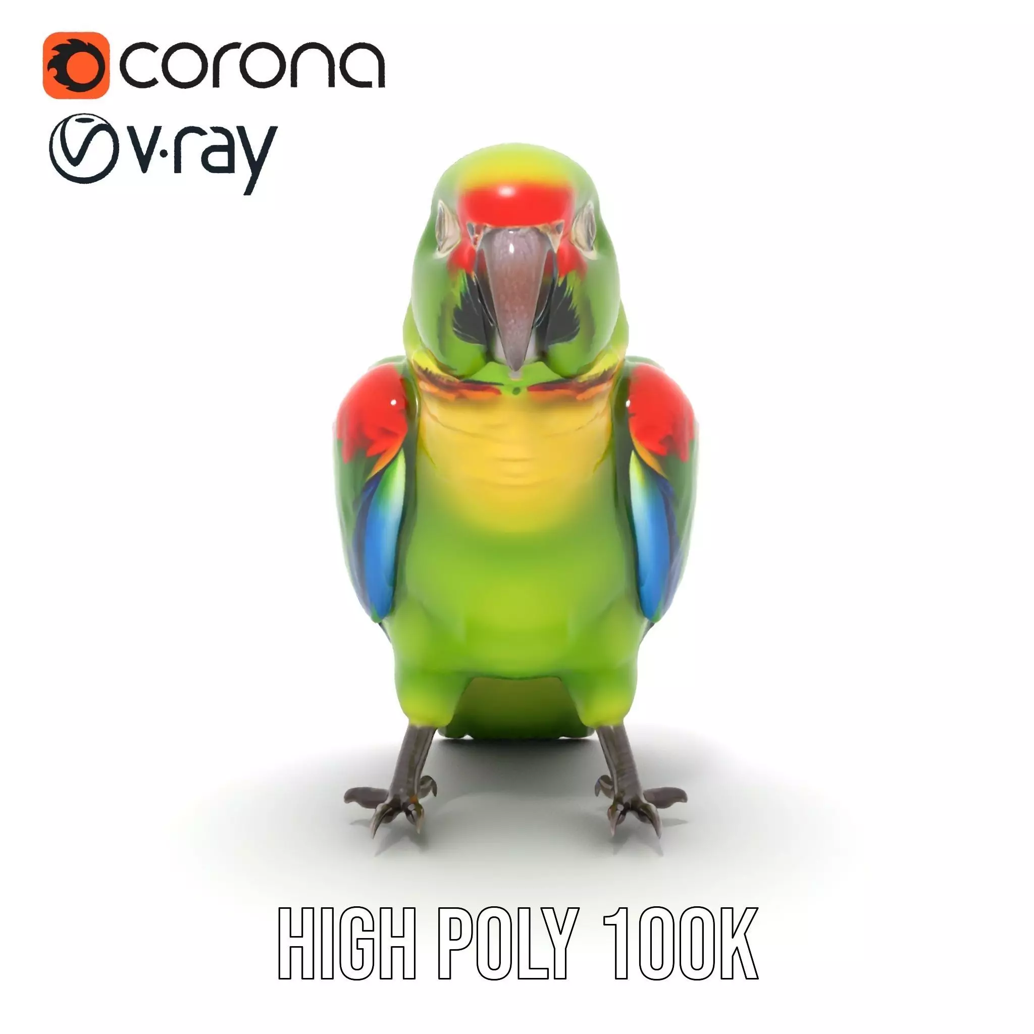 Vibrant Parrot Model Pack Low-poly 3D model_34