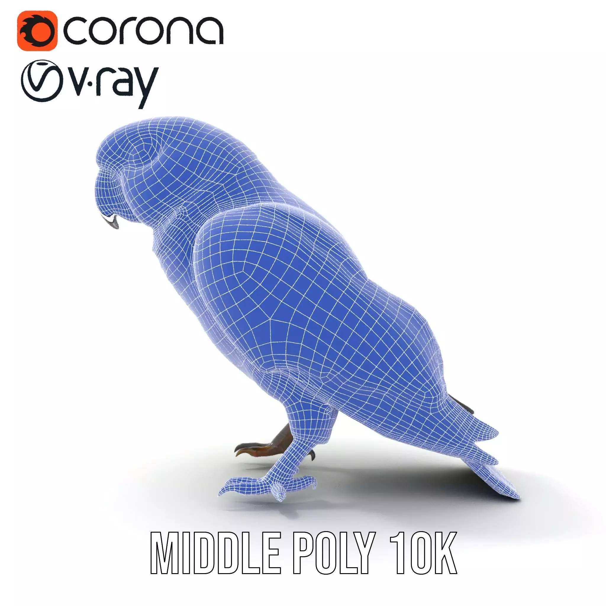 Vibrant Parrot Model Pack Low-poly 3D model_17