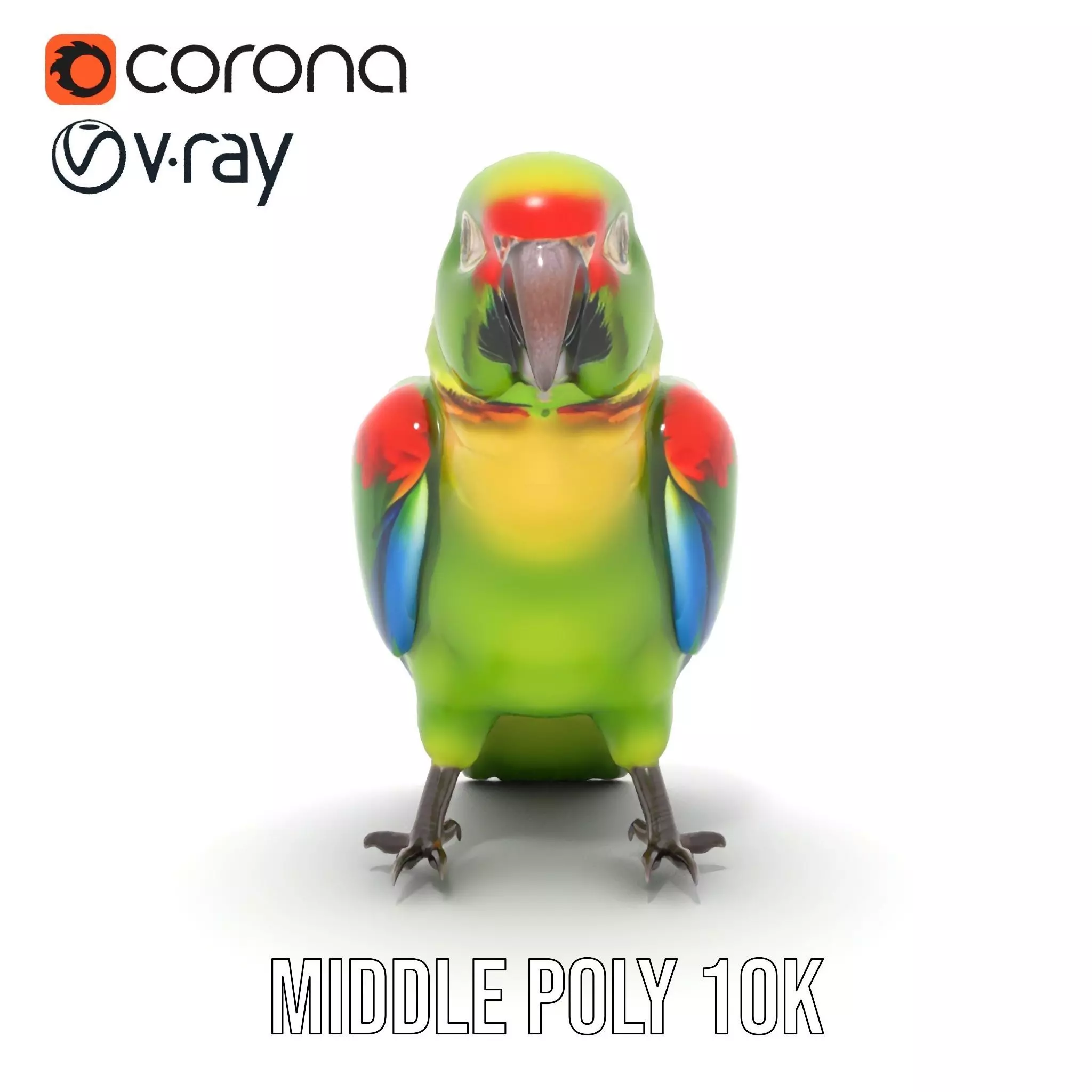 Vibrant Parrot Model Pack Low-poly 3D model_25