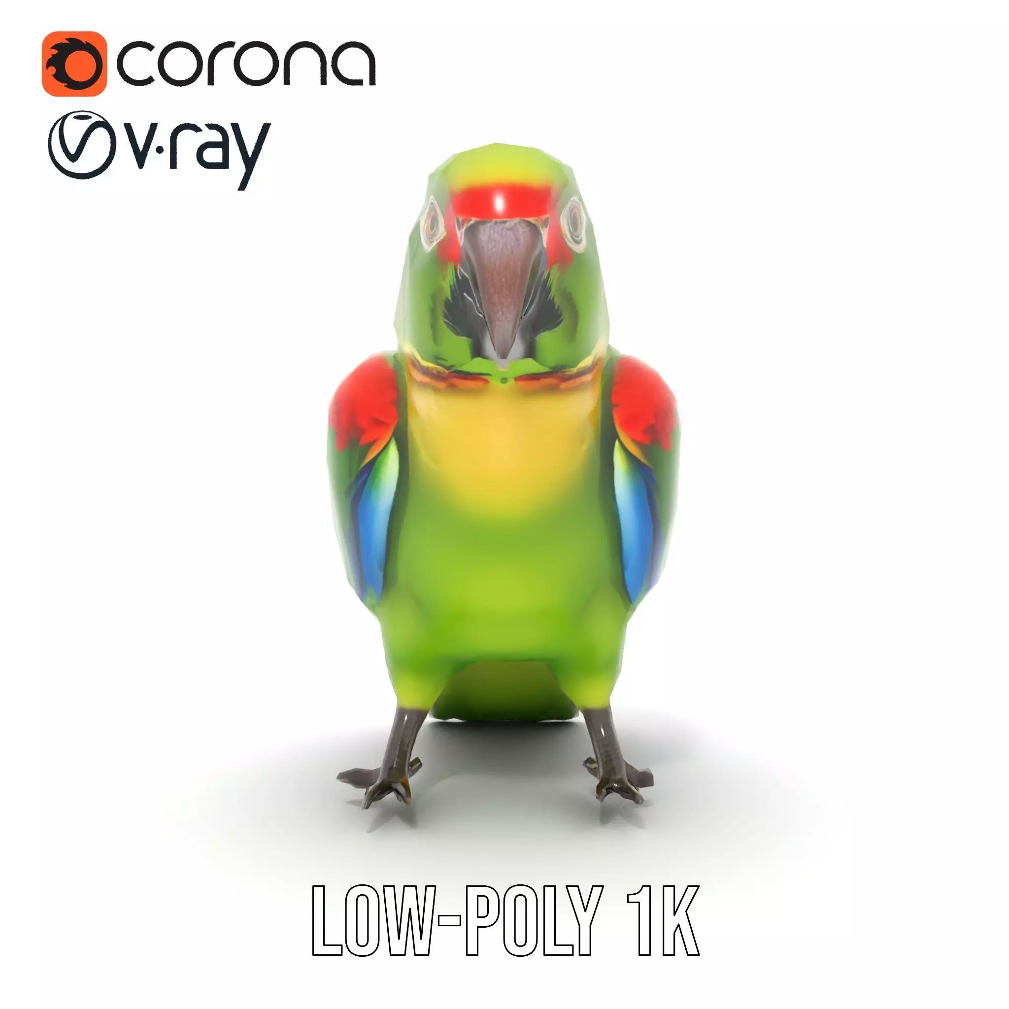 Vibrant Parrot Model Pack Low-poly 3D model_29