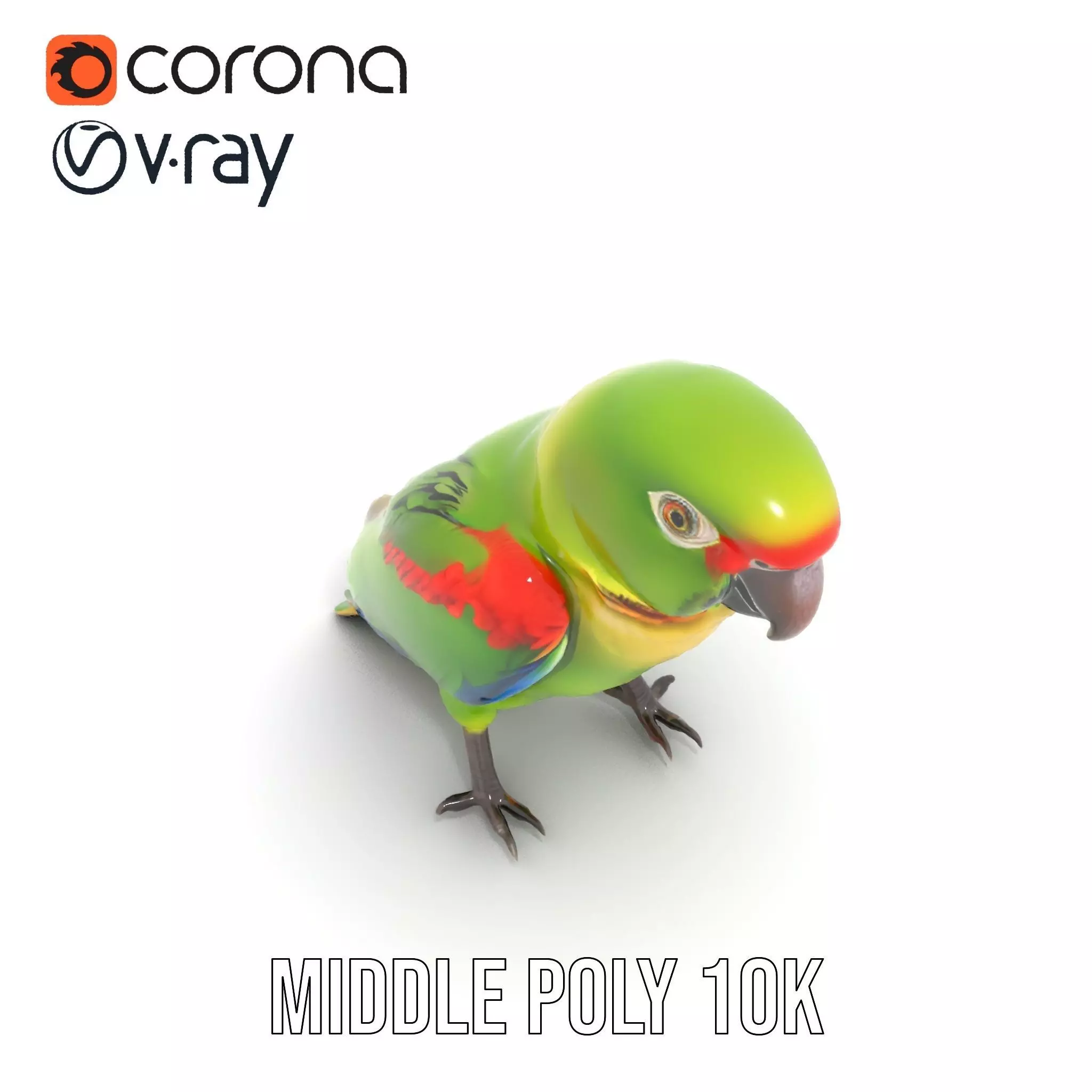 Vibrant Parrot Model Pack Low-poly 3D model_6