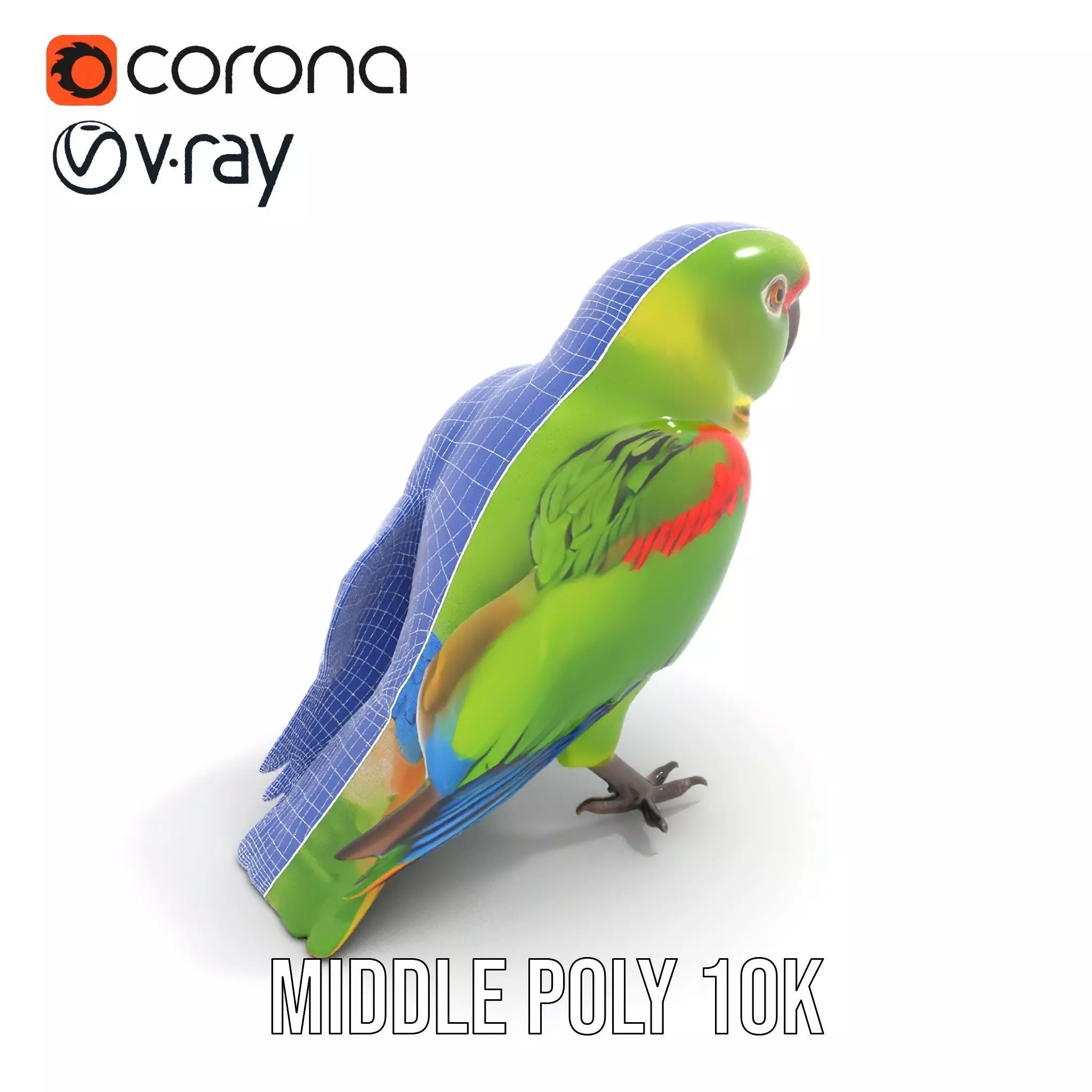 Vibrant Parrot Model Pack Low-poly 3D model_28