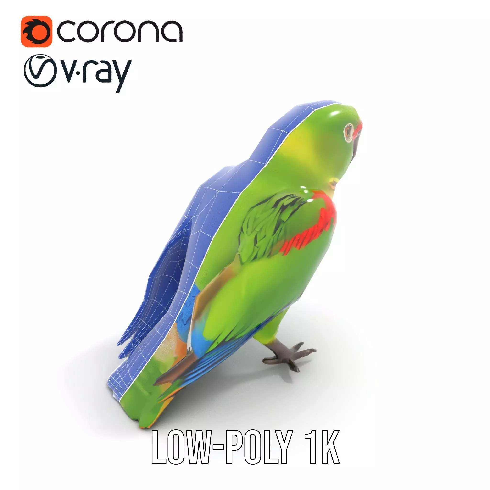 Vibrant Parrot Model Pack Low-poly 3D model_26