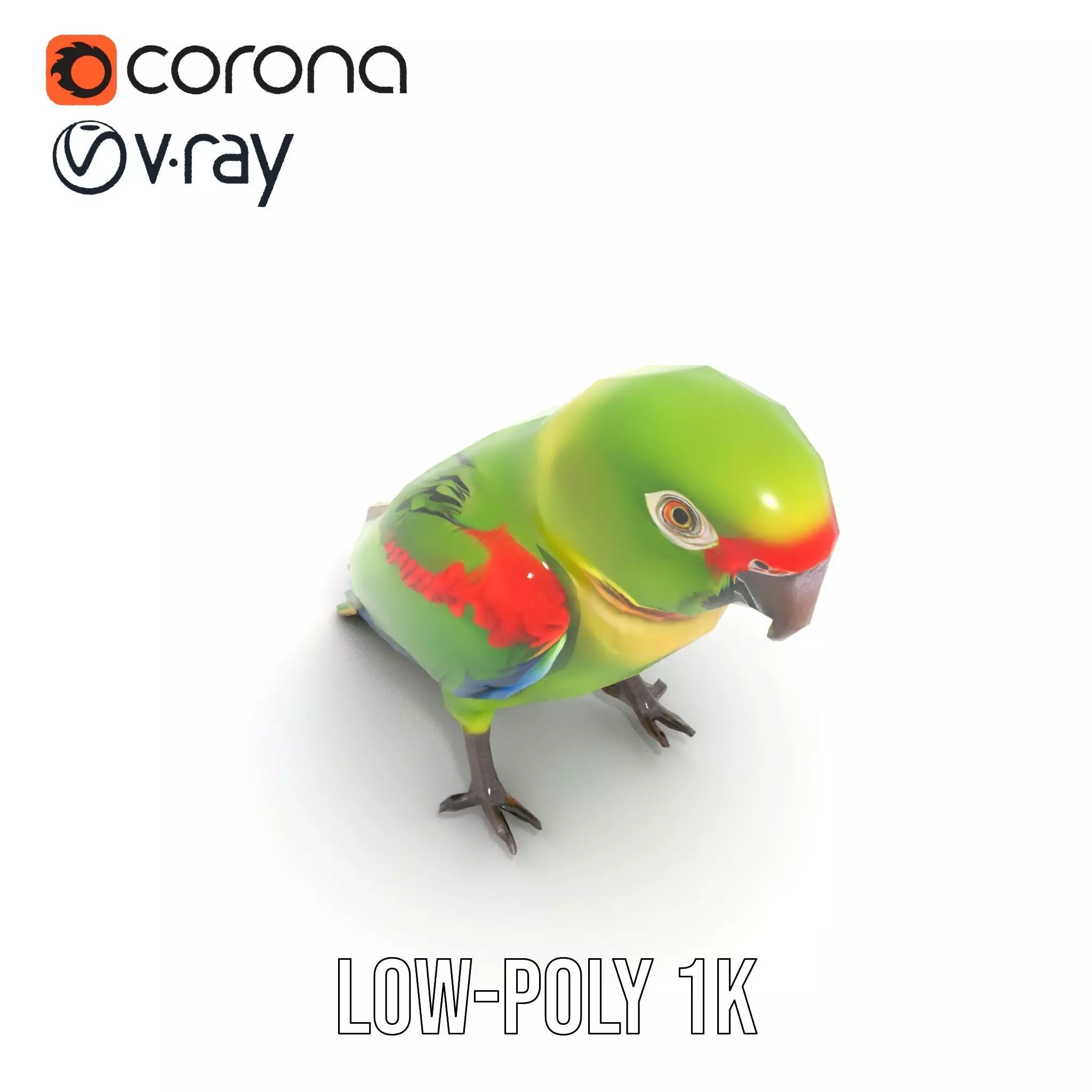 Vibrant Parrot Model Pack Low-poly 3D model_10