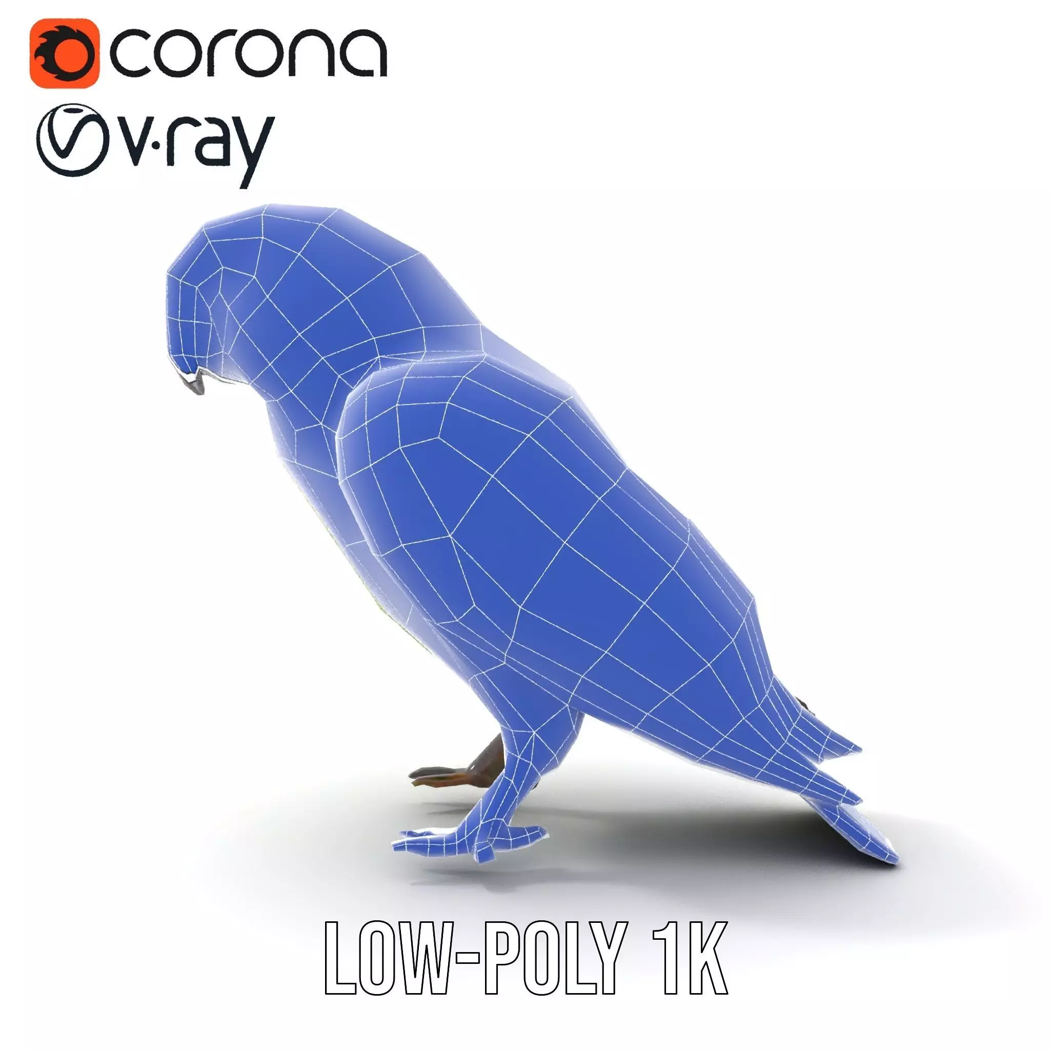 Vibrant Parrot Model Pack Low-poly 3D model_21