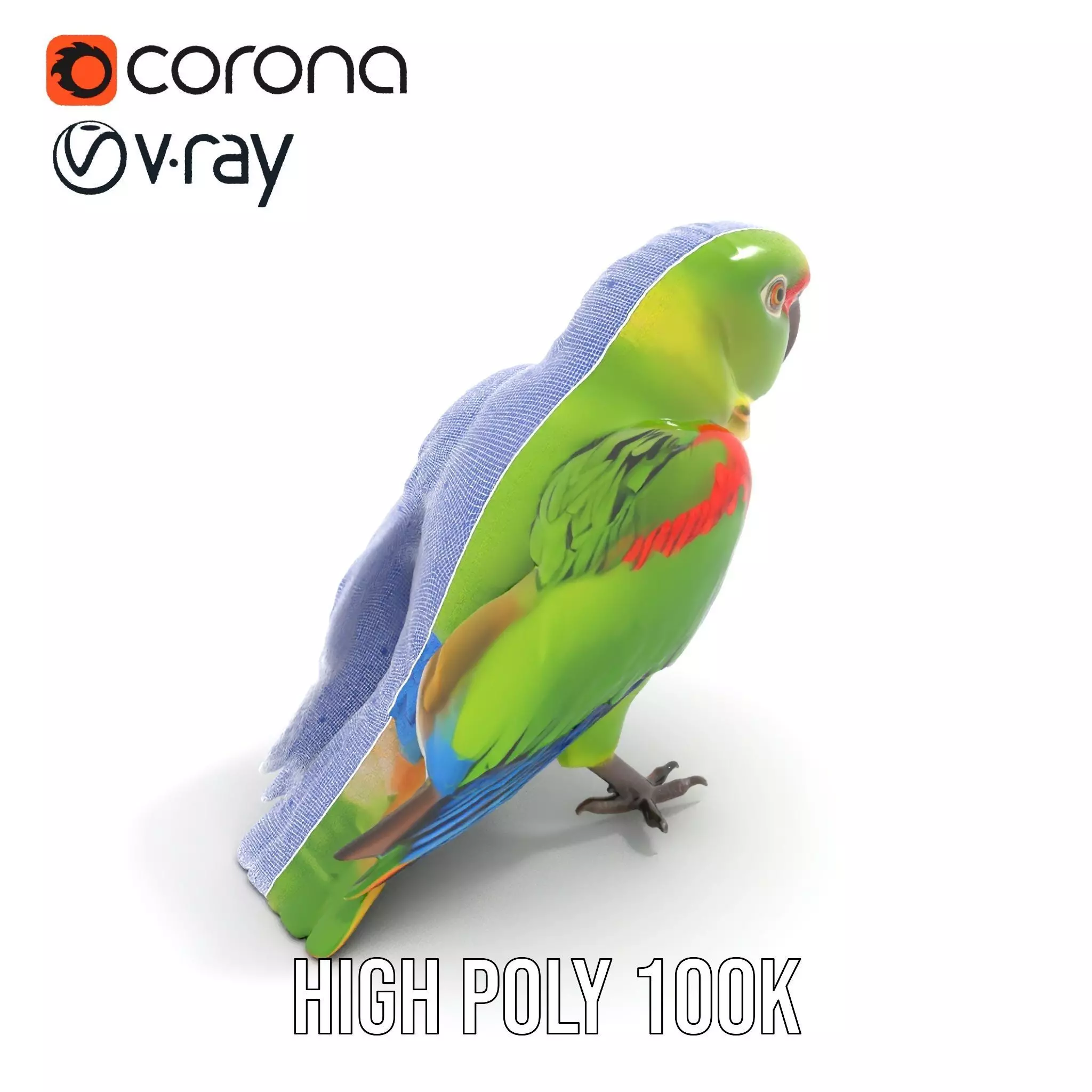 Vibrant Parrot Model Pack Low-poly 3D model_27