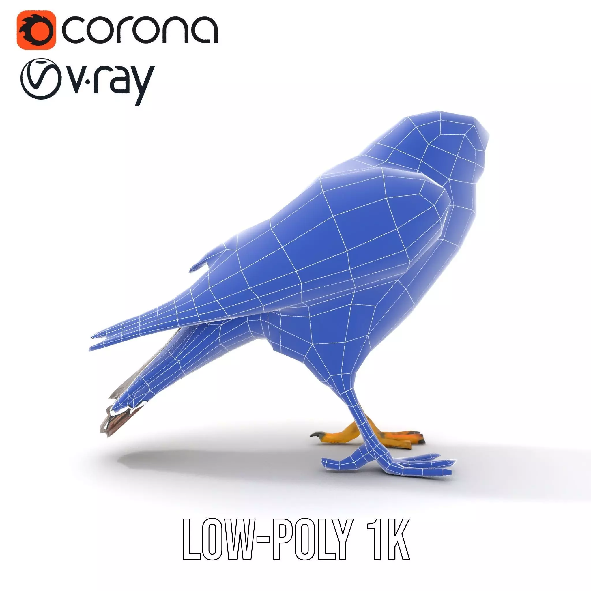 Brown Kestrel model pack Low-poly 3D model_31