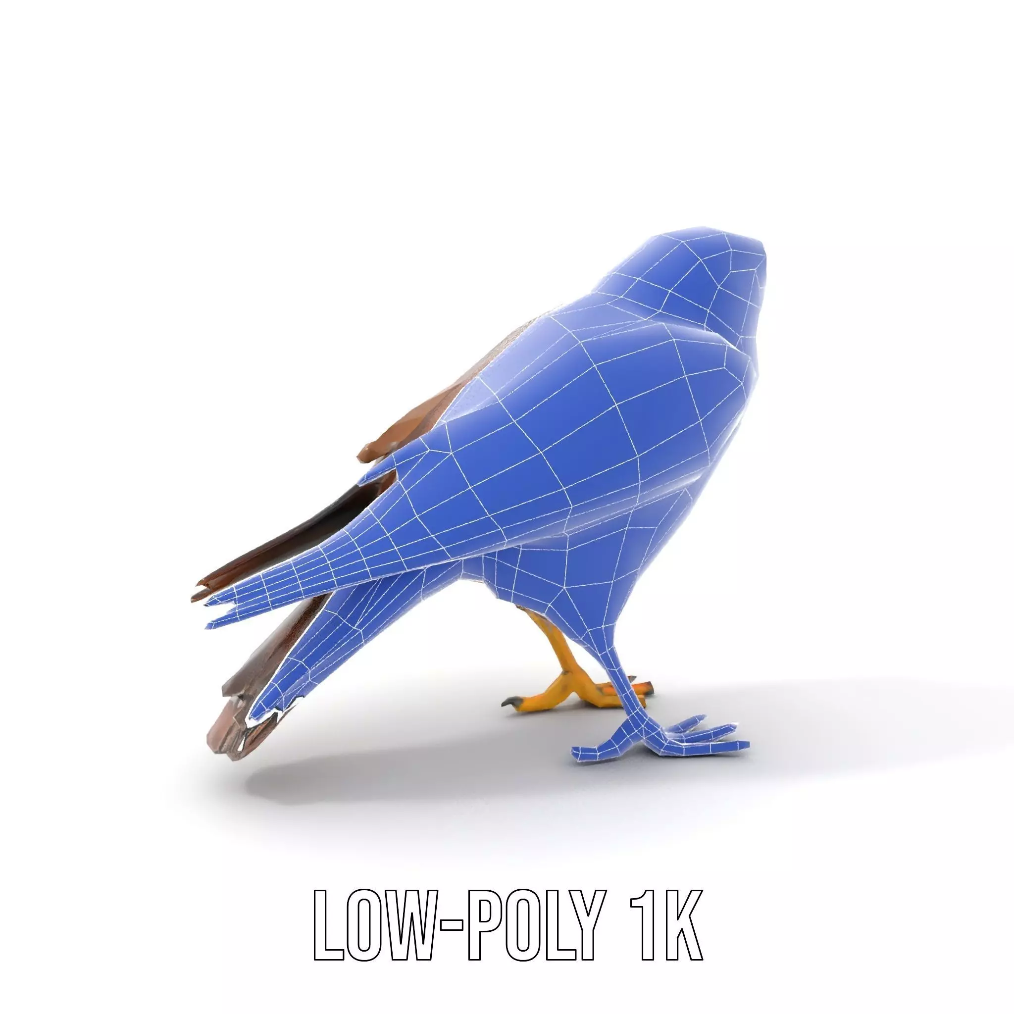 Brown Kestrel model pack Low-poly 3D model_20