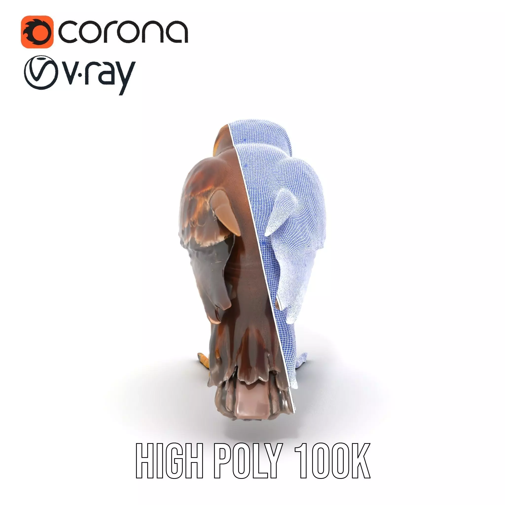 Brown Kestrel model pack Low-poly 3D model_33