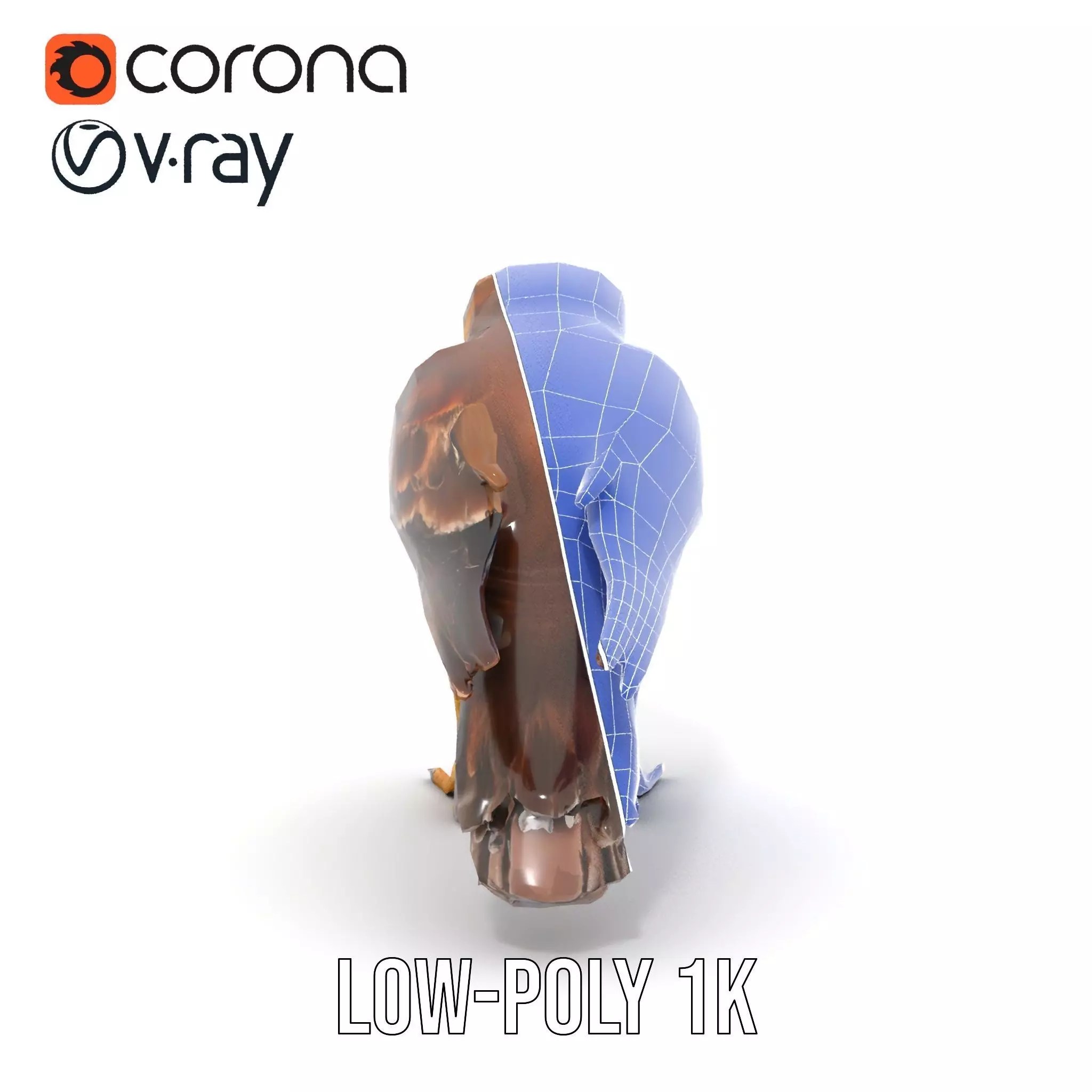 Brown Kestrel model pack Low-poly 3D model_15