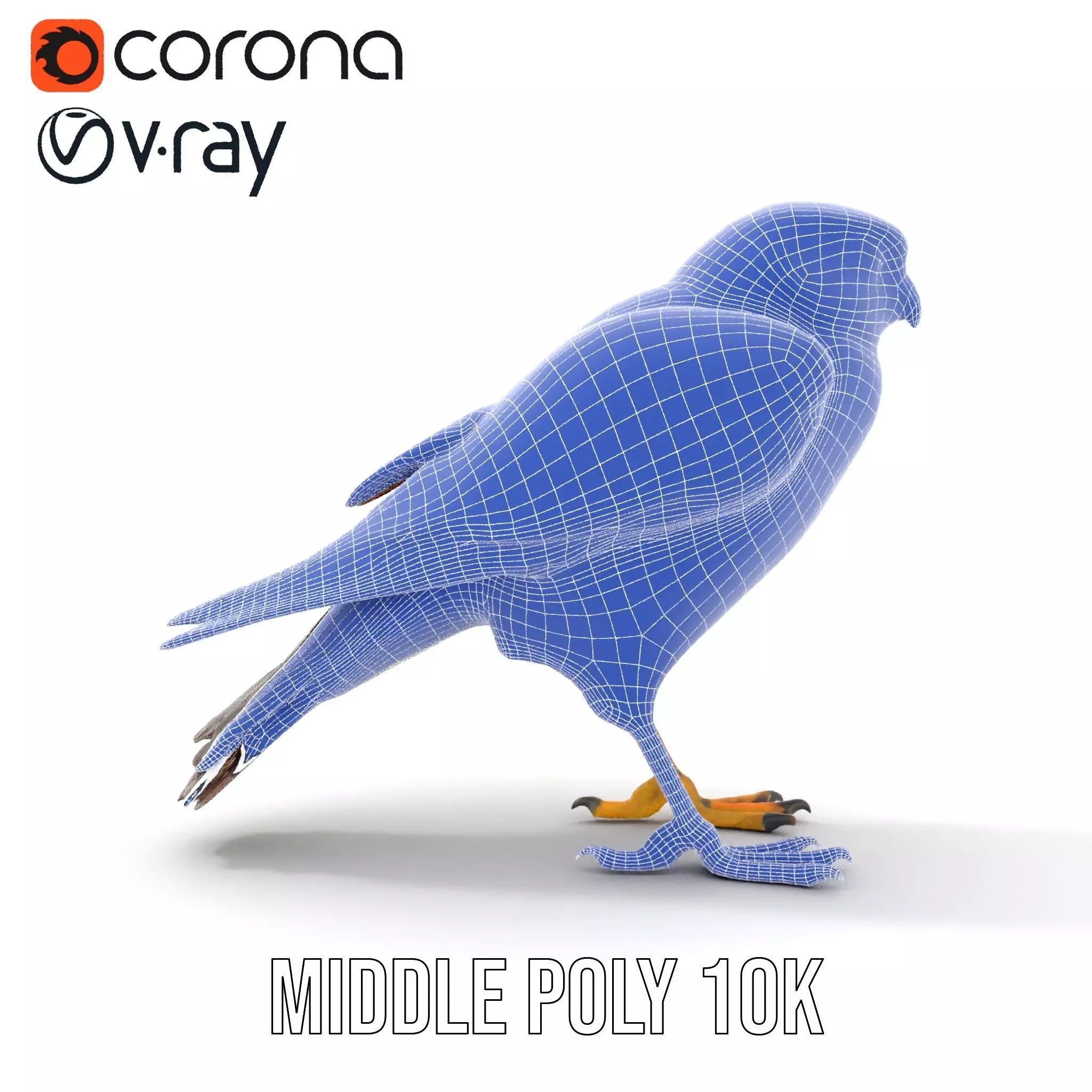 Brown Kestrel model pack Low-poly 3D model_25