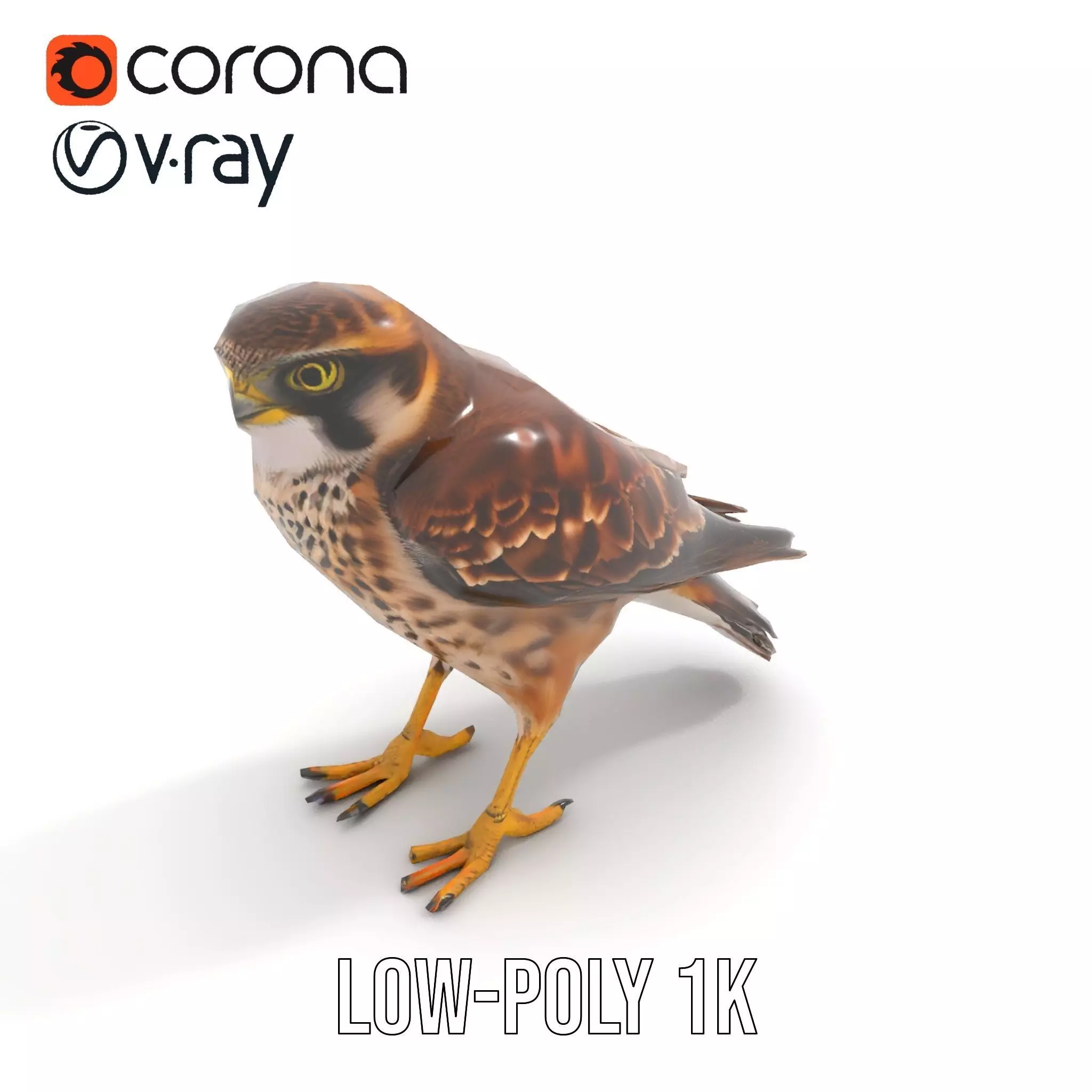 Brown Kestrel model pack Low-poly 3D model_13