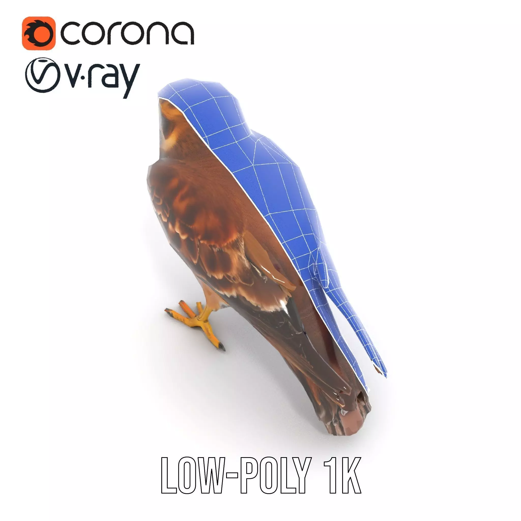 Brown Kestrel model pack Low-poly 3D model_26