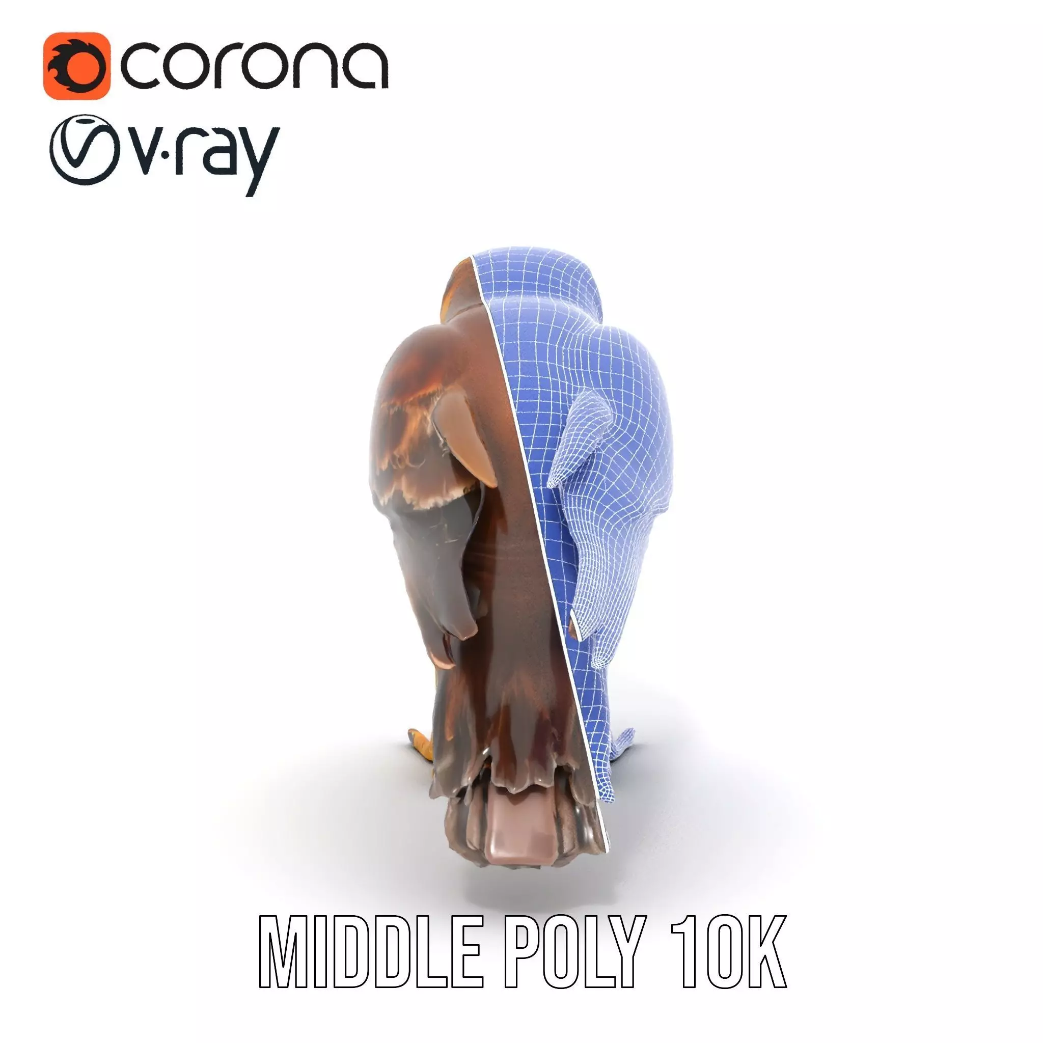 Brown Kestrel model pack Low-poly 3D model_28