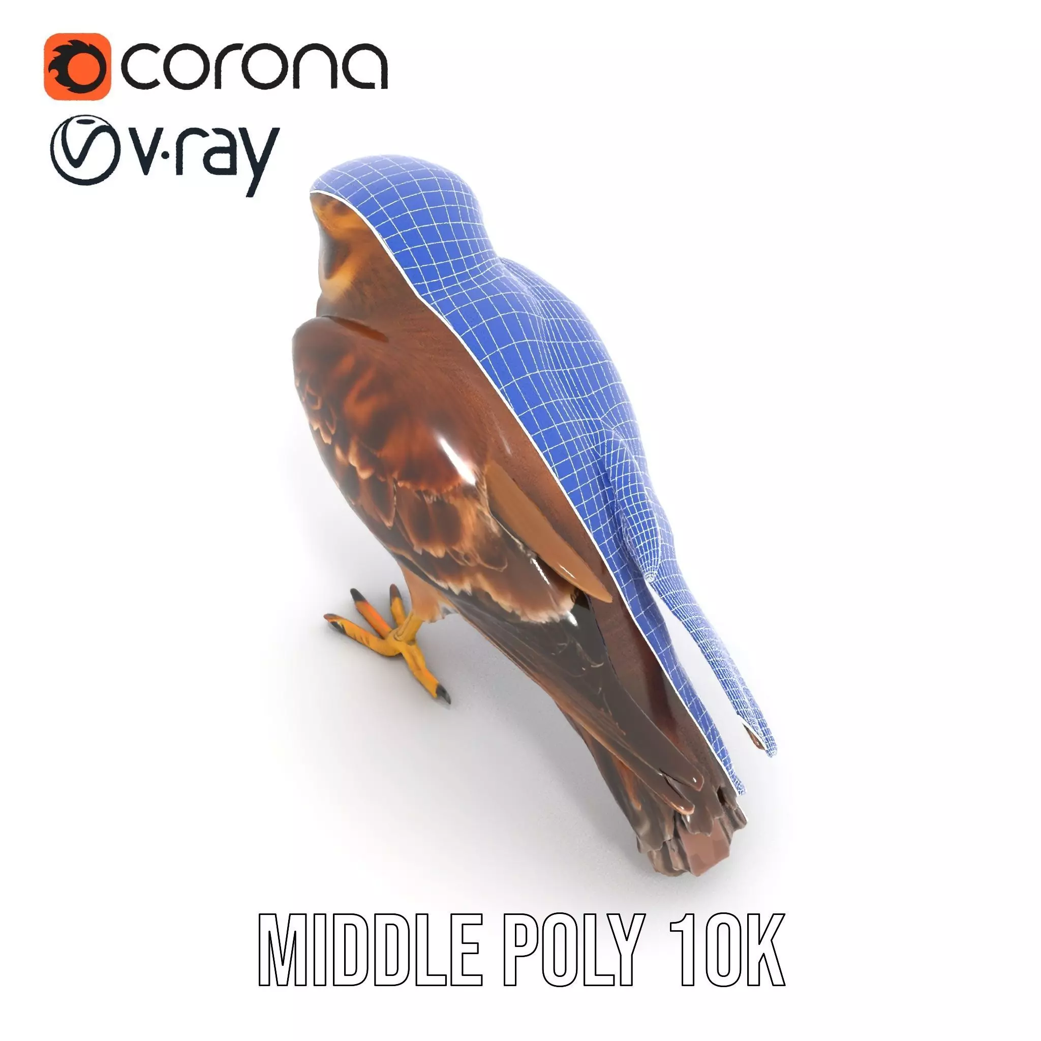 Brown Kestrel model pack Low-poly 3D model_30