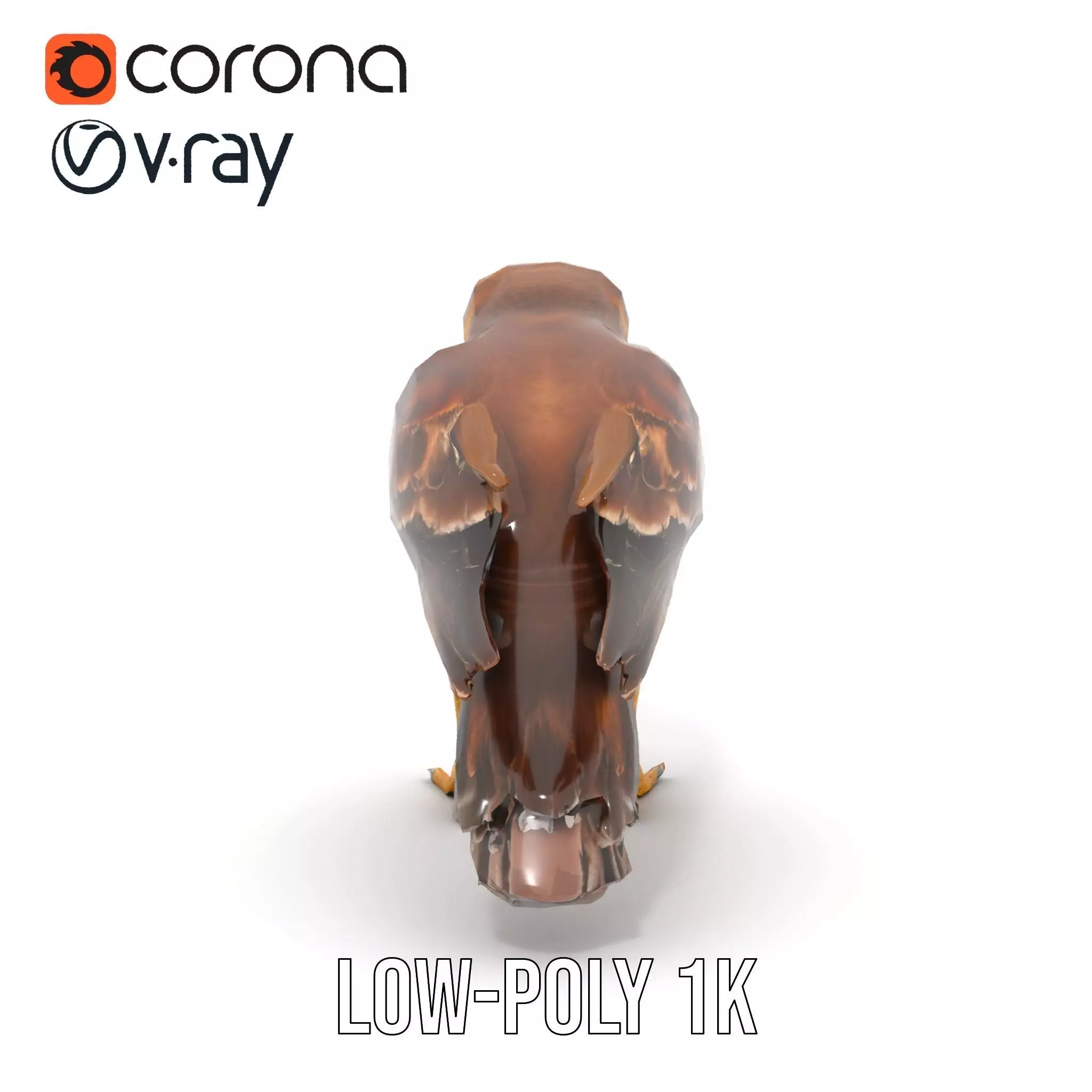 Brown Kestrel model pack Low-poly 3D model_23