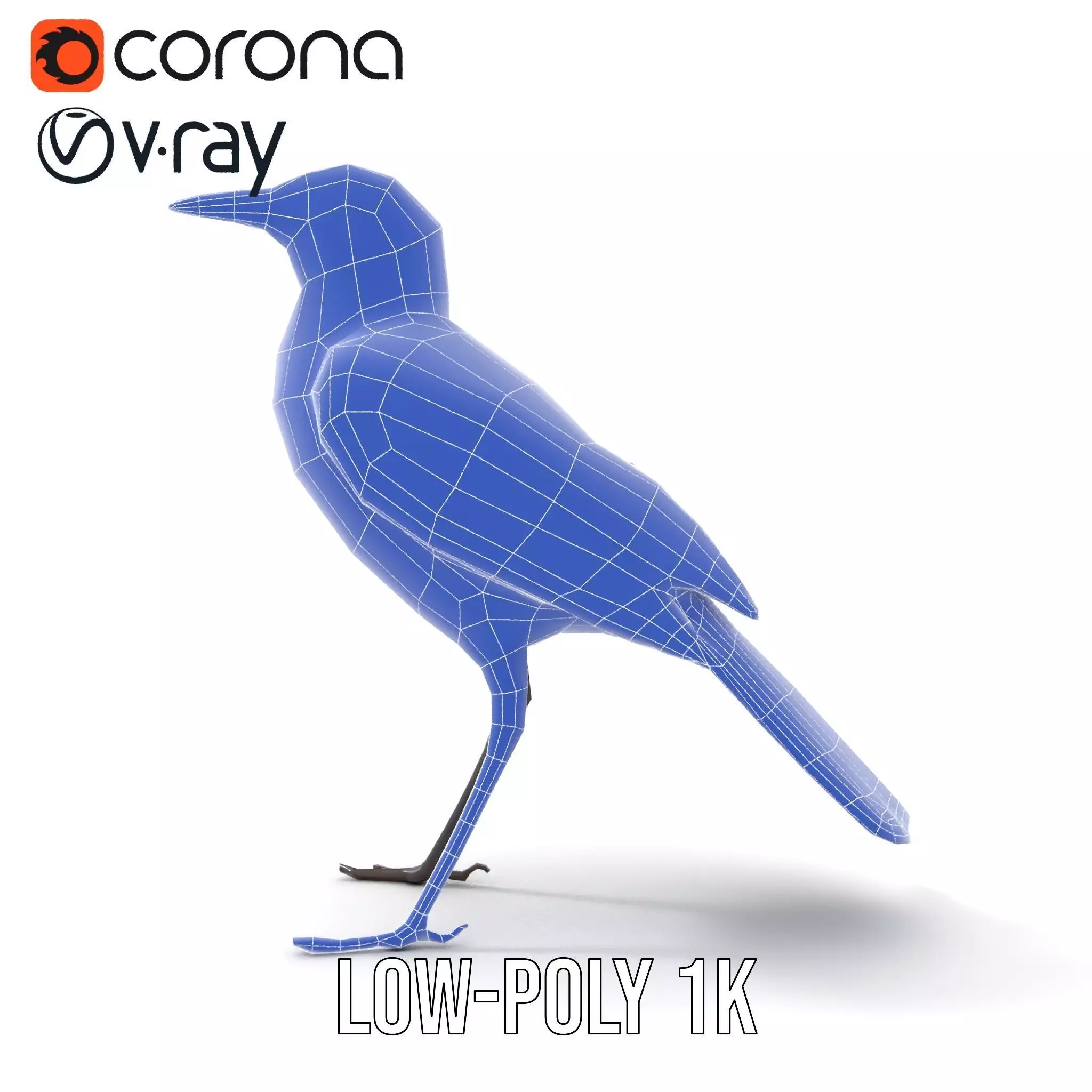 Elegant Magpie Bird model pack Low-poly 3D model_23