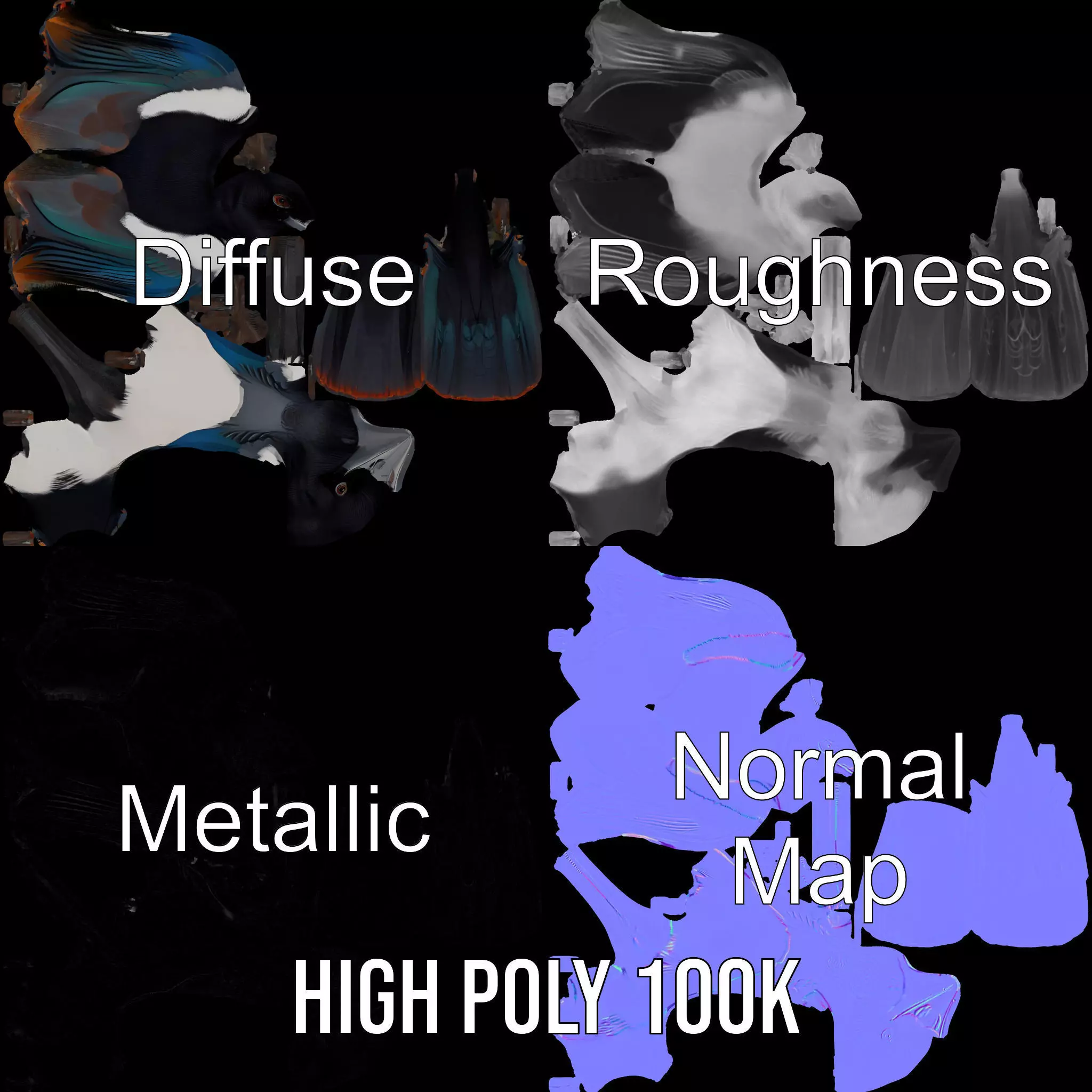 Elegant Magpie Bird model pack Low-poly 3D model_4