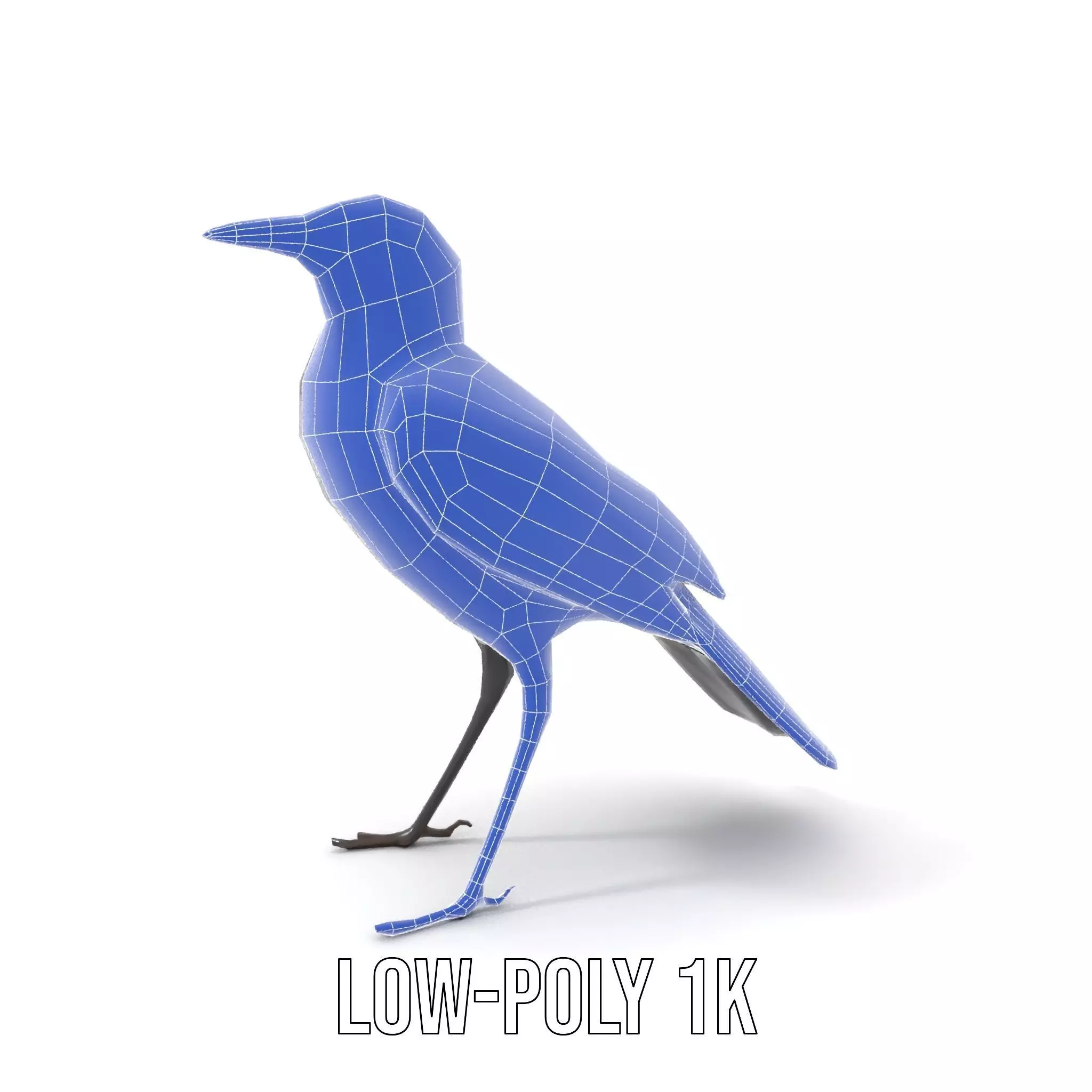 Elegant Magpie Bird model pack Low-poly 3D model_10