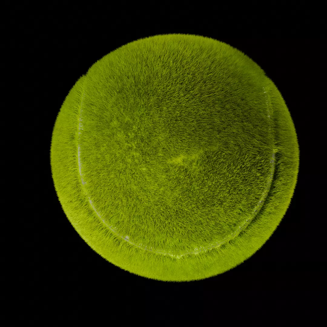 3D Tennis Ball 3D model_2