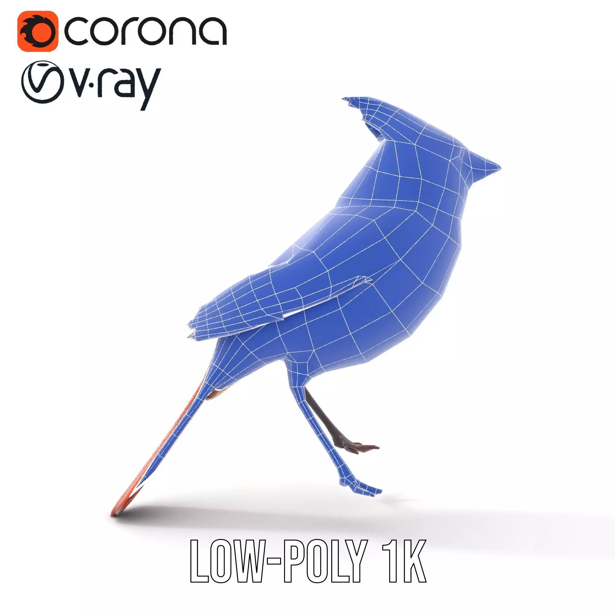 Scarlet Cardinal model pack Low-poly 3D model_29