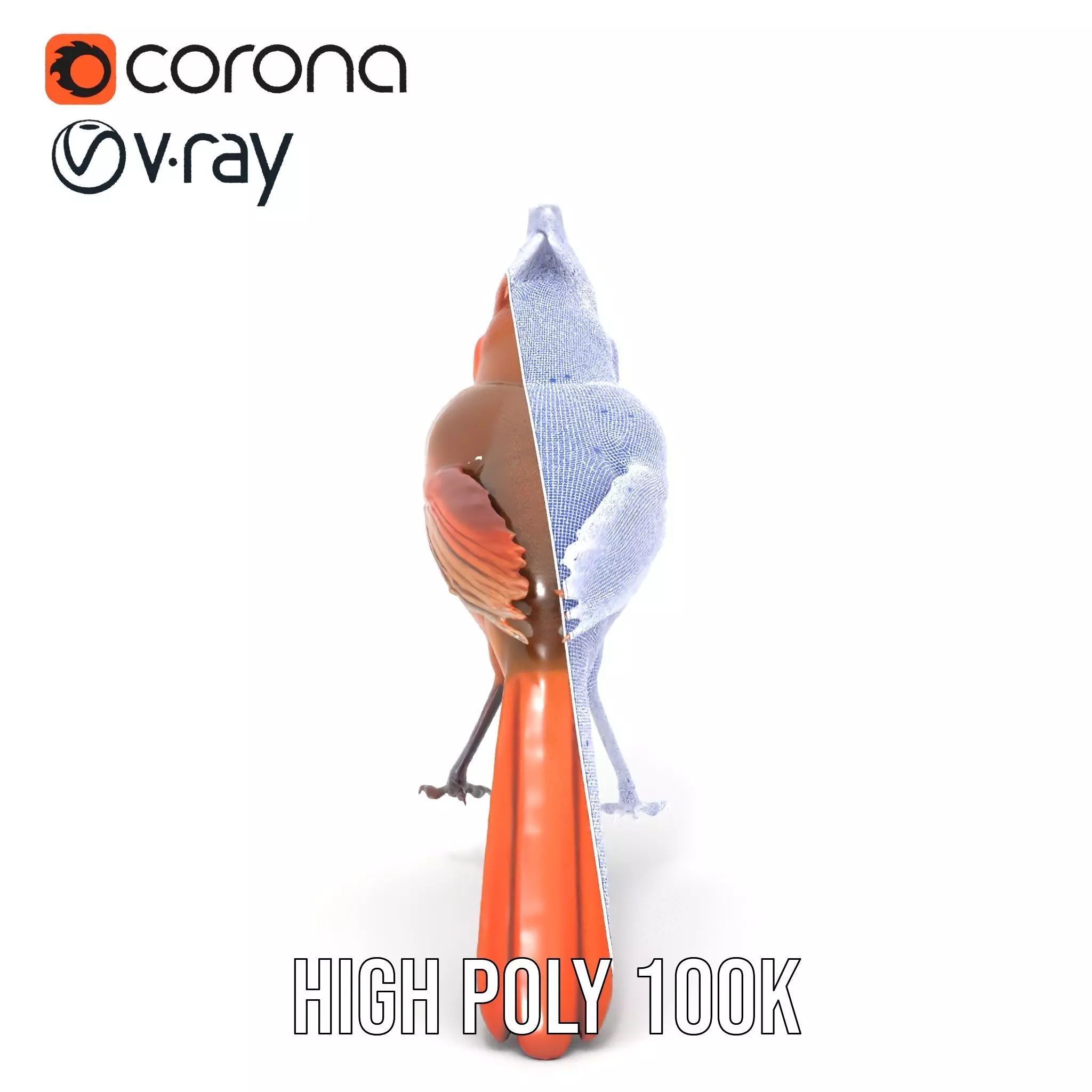 Scarlet Cardinal model pack Low-poly 3D model_35