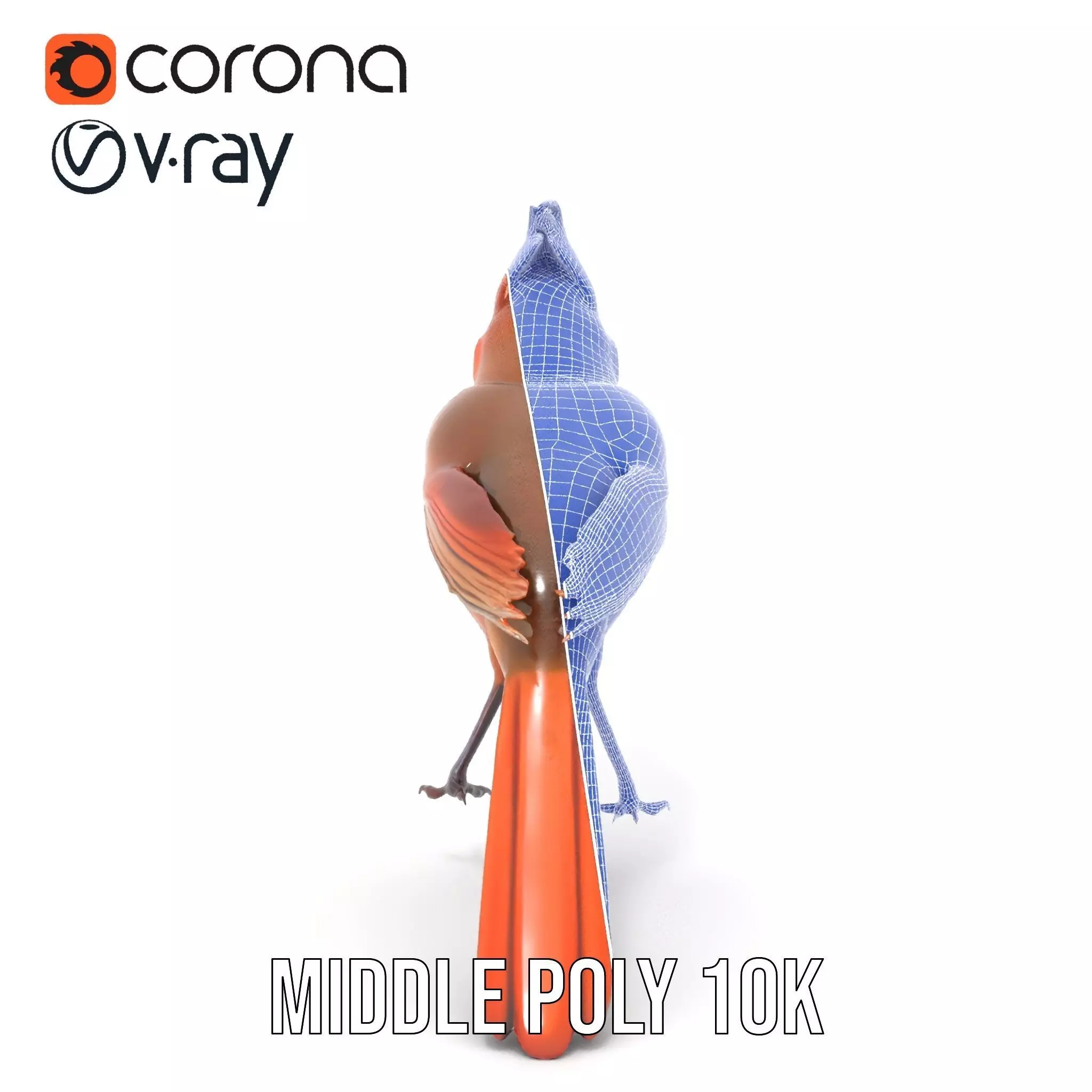 Scarlet Cardinal model pack Low-poly 3D model_28