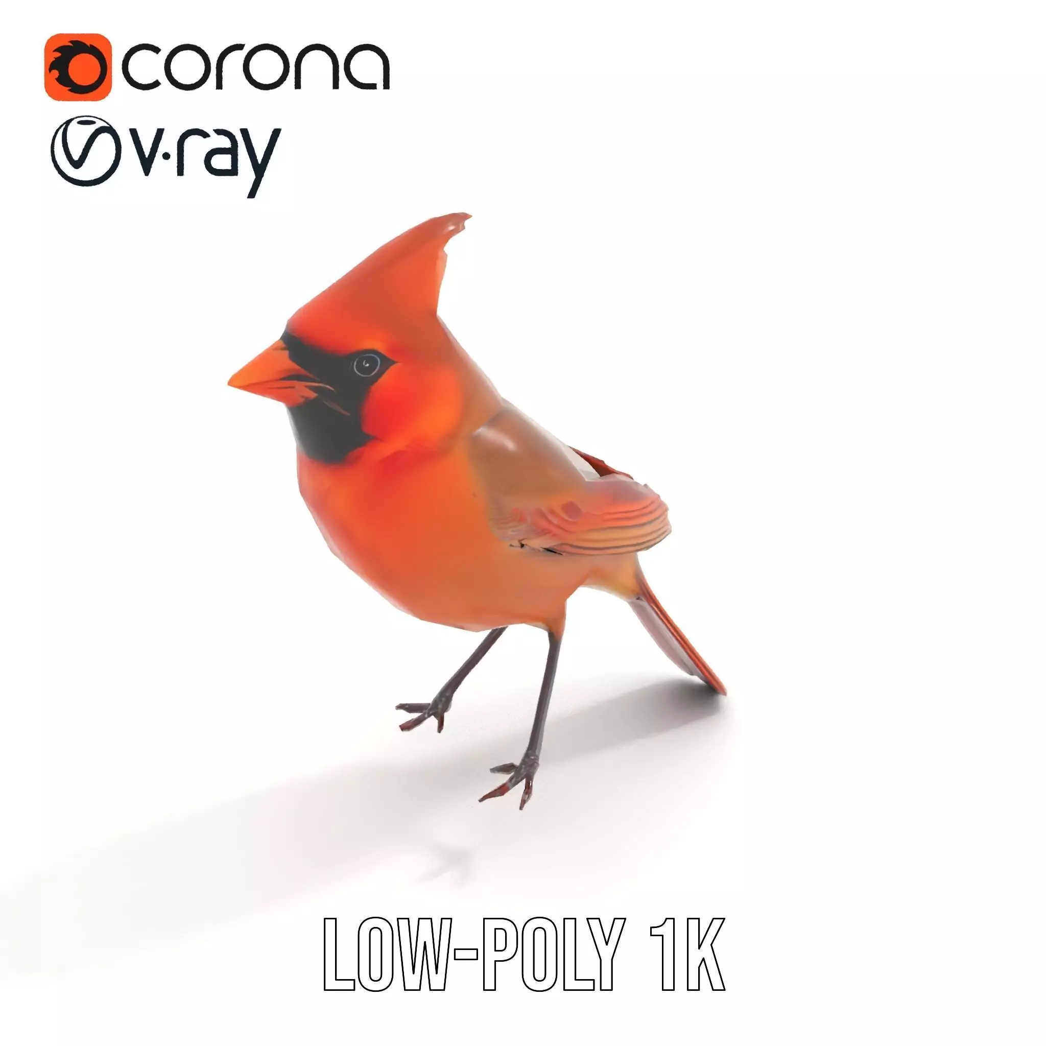 Scarlet Cardinal model pack Low-poly 3D model_17