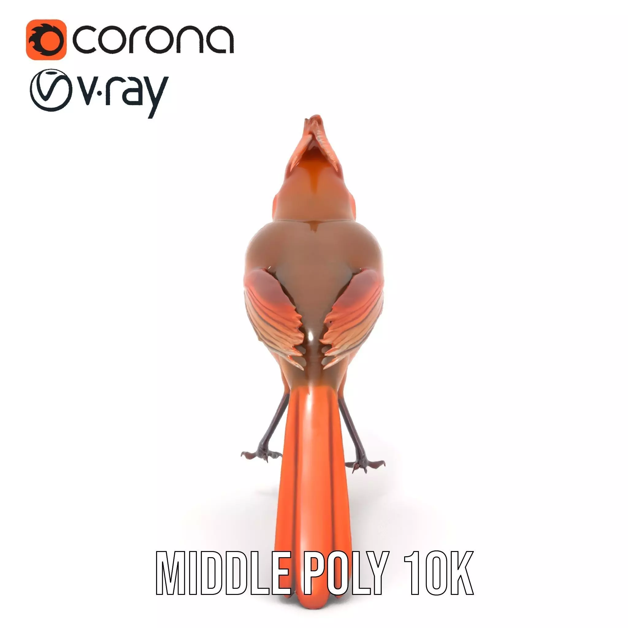 Scarlet Cardinal model pack Low-poly 3D model_16